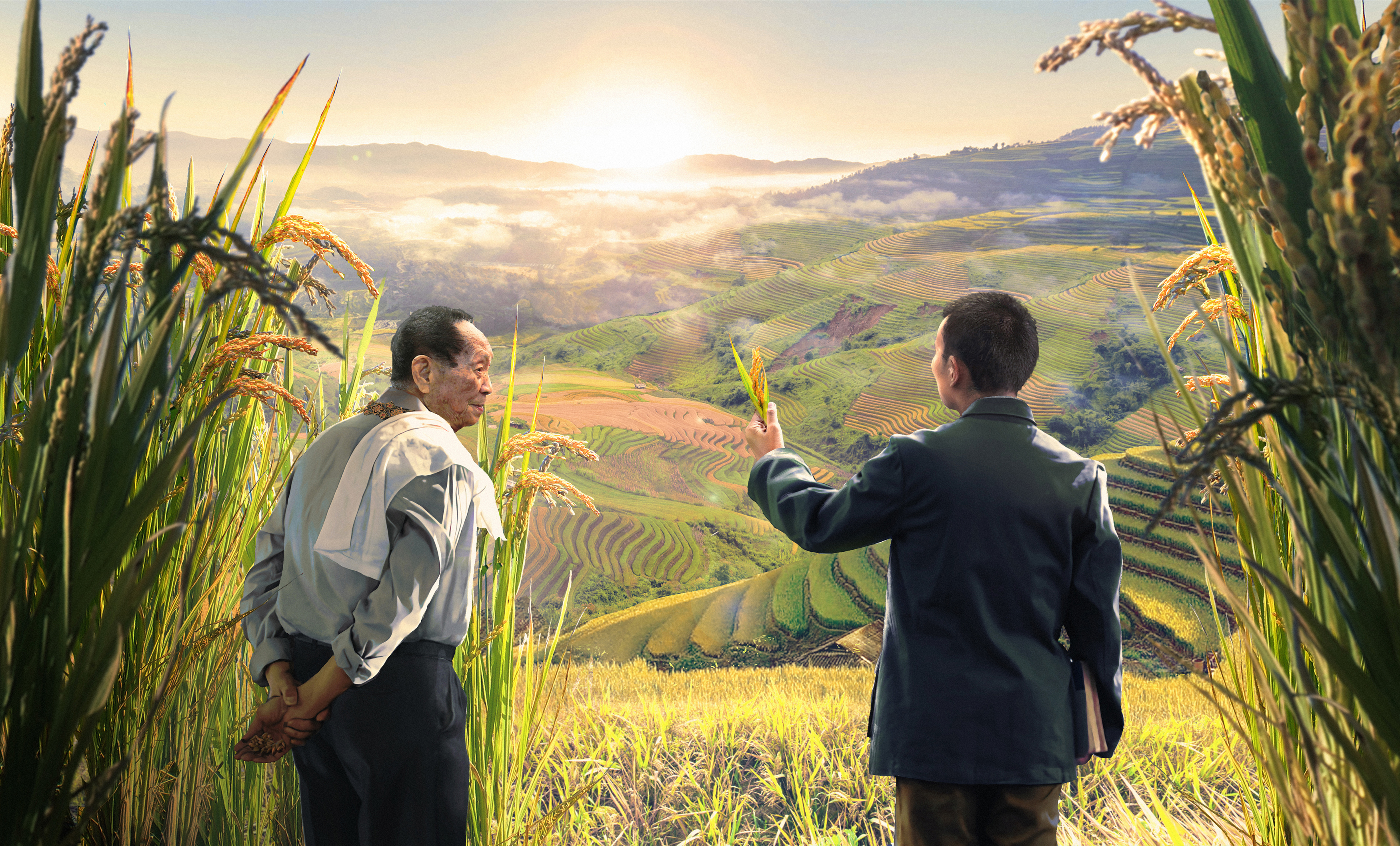 Landscape Rice Fields Artwork Sunrise Longping Yuan Chinese Propaganda 3500x2116