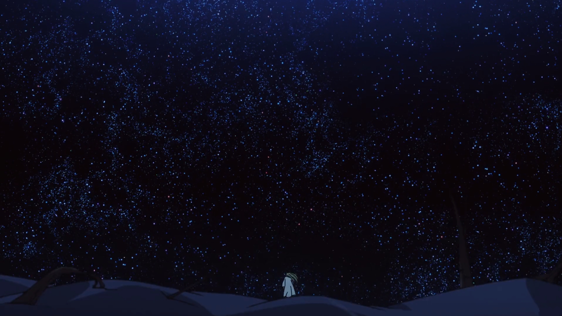 Fate Series Fate Strange Fake Enkidu FGO Anime Anime Screenshot Gender Fluid Sky Stars Night 1920x1080