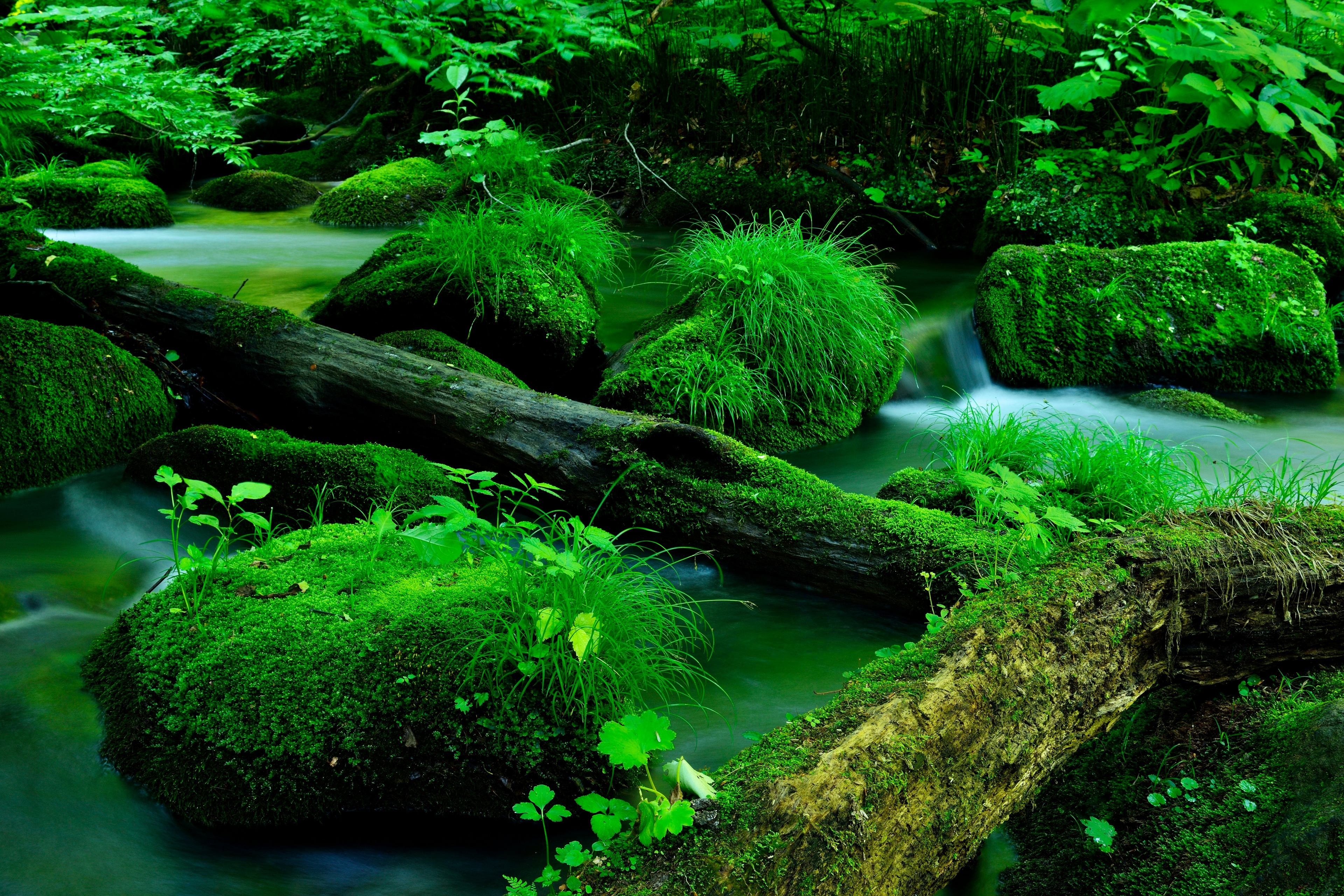 Nature Stream Stones Wood Moss Water Long Exposure 3840x2560