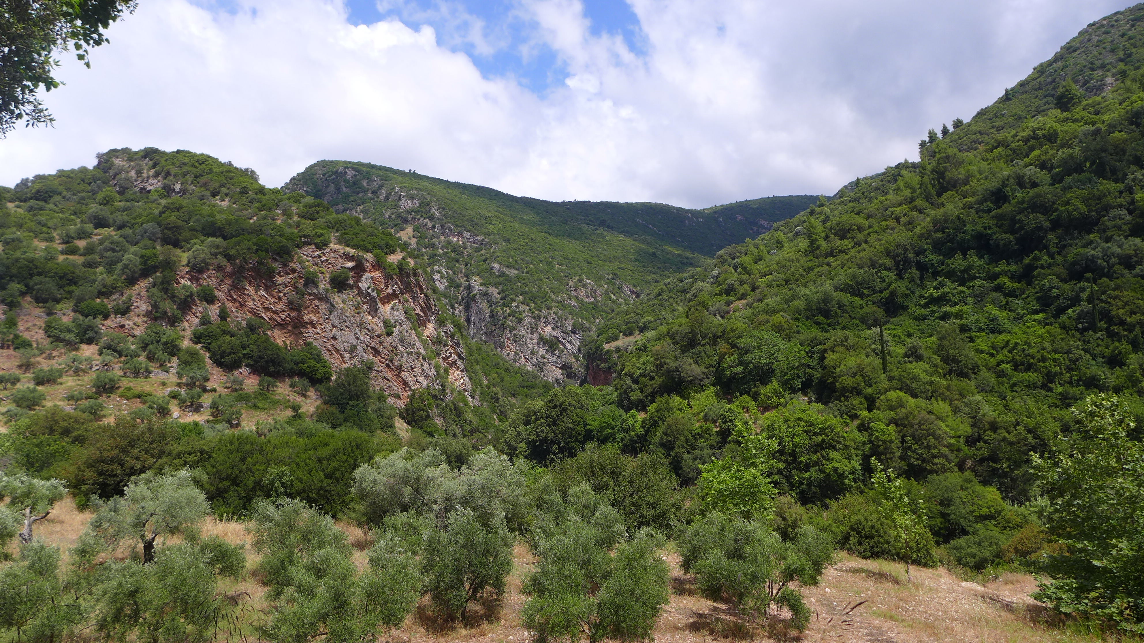 Mountains Trees Greece Clouds Plants Olive Oil Nature Sky 3968x2232
