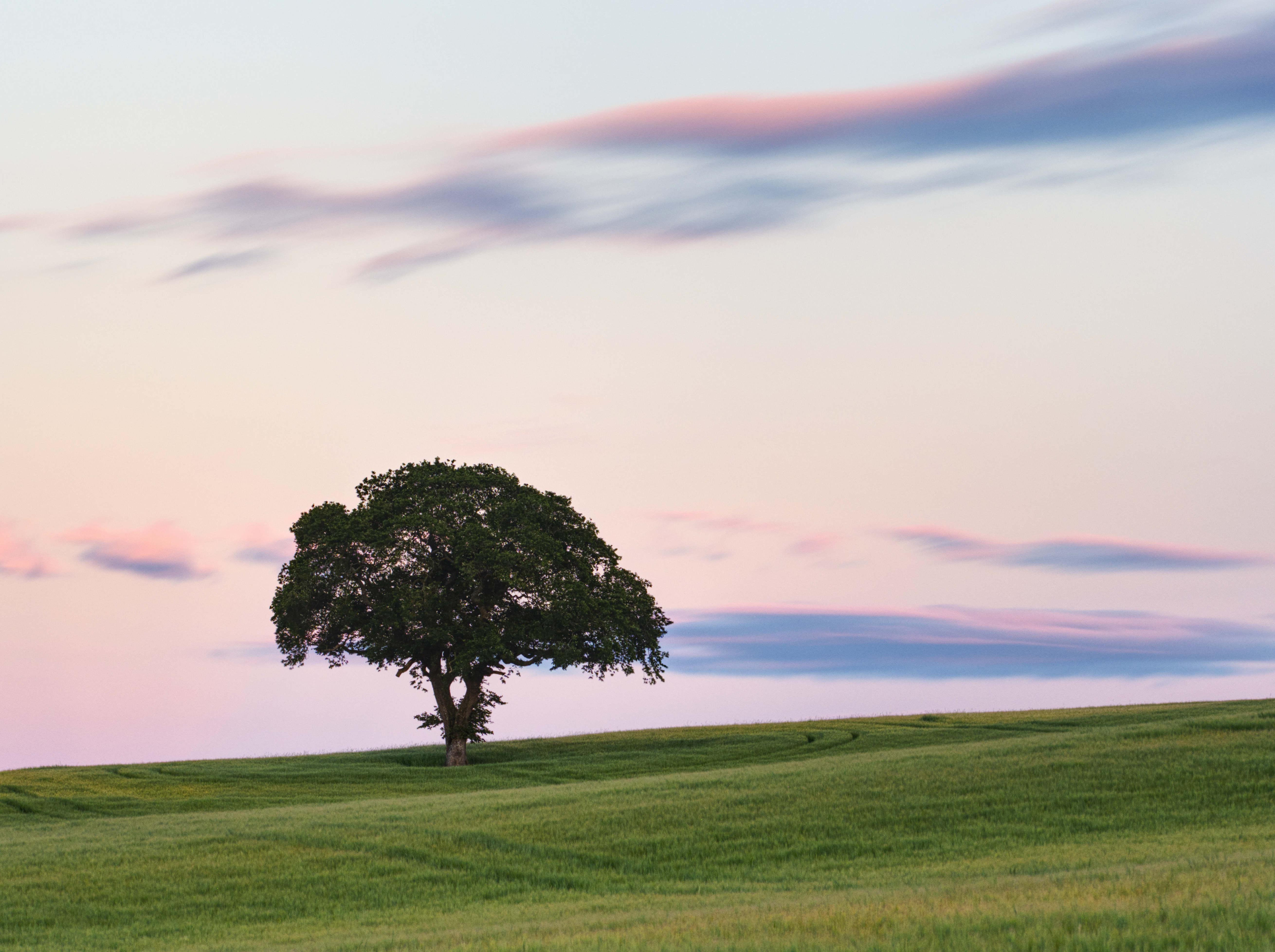 Scotland Nature Landscape Clouds Sunset Field Trees Sky Simple Background 5240x3912