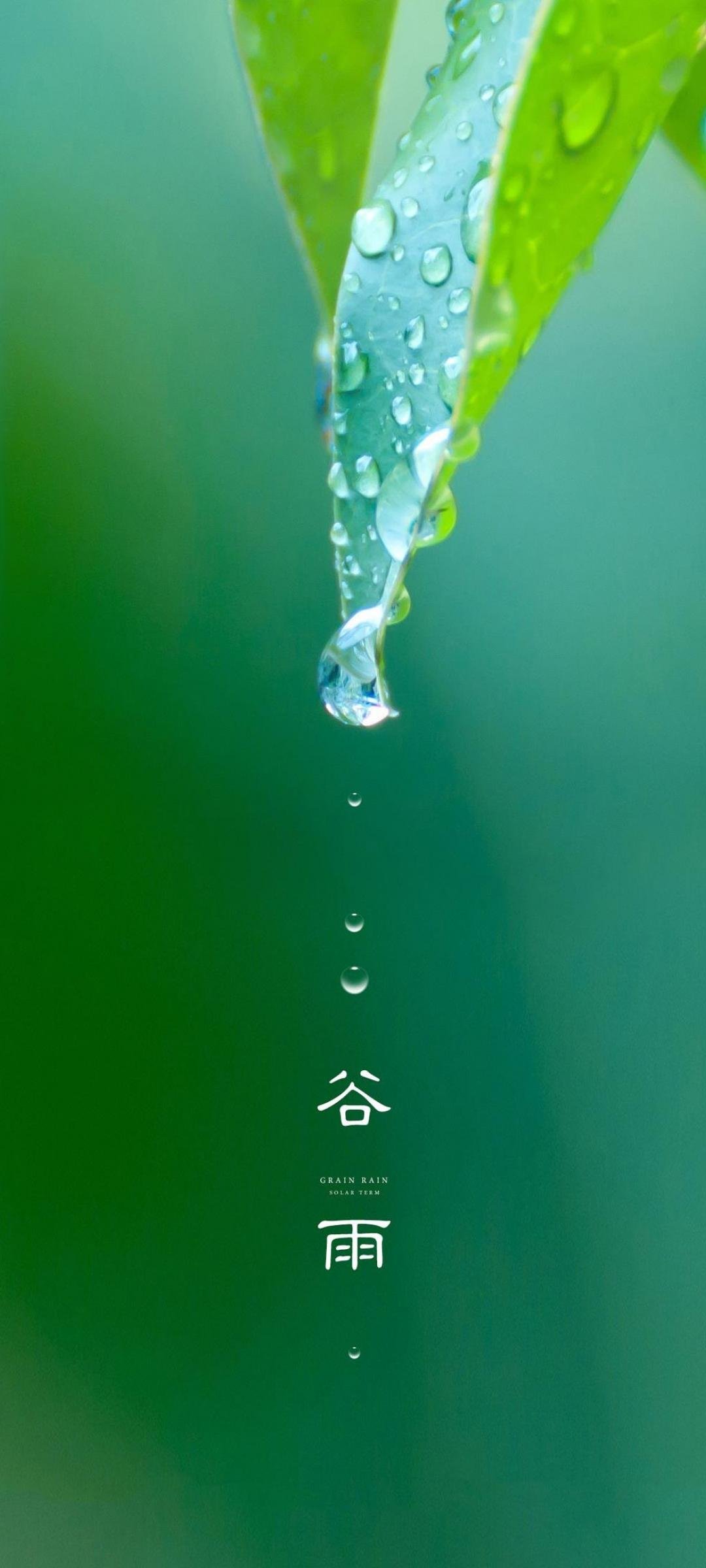 Nature Seasons Vertical Water Drops 1080x2400