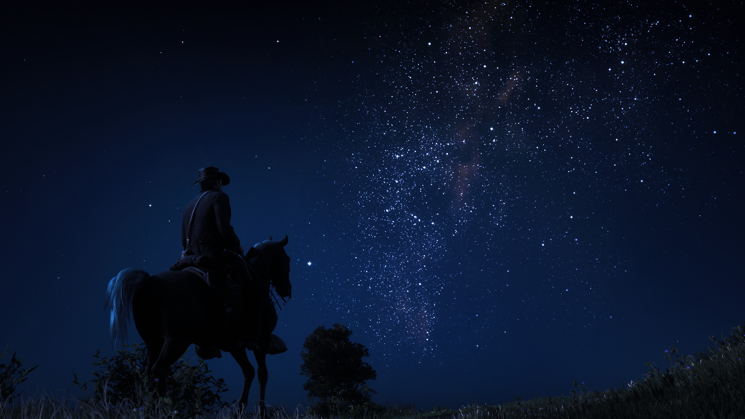 Red Dead Redemption 2 Milky Way Stars Nature Night Screen Shot Digital Art Video Games Sky Video Gam 2560x1440