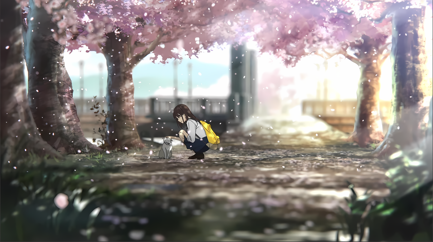 Anime Anime Girls Schoolgirl School Uniform Trees Petals Cherry Trees Backpacks Cats Leaves Flowers 1820x1019