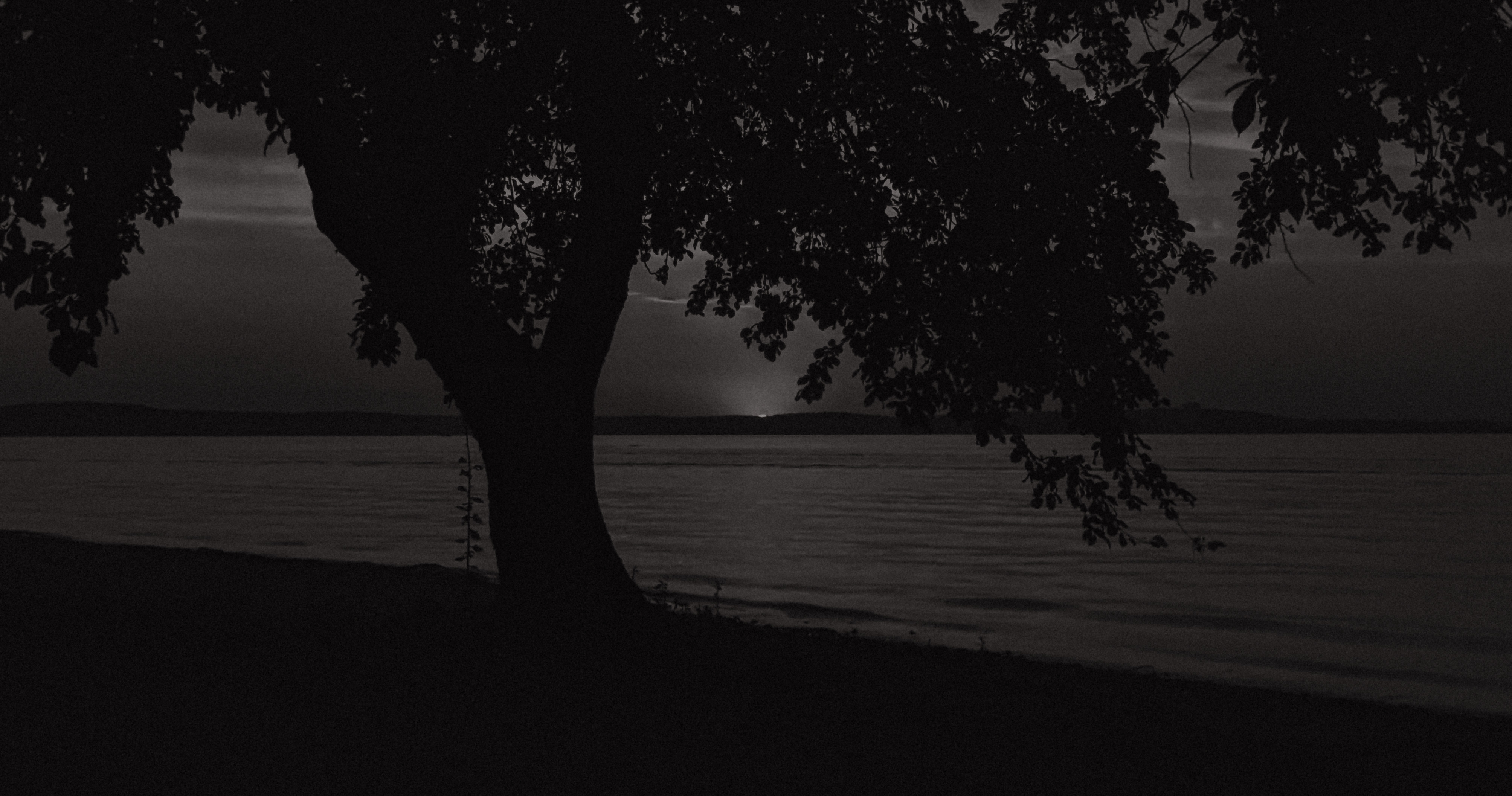 Lake Landscape Trees Water Sun Sunset Monochrome Photography Sky Evening Golden Hour Sepia Outdoors 4015x2114