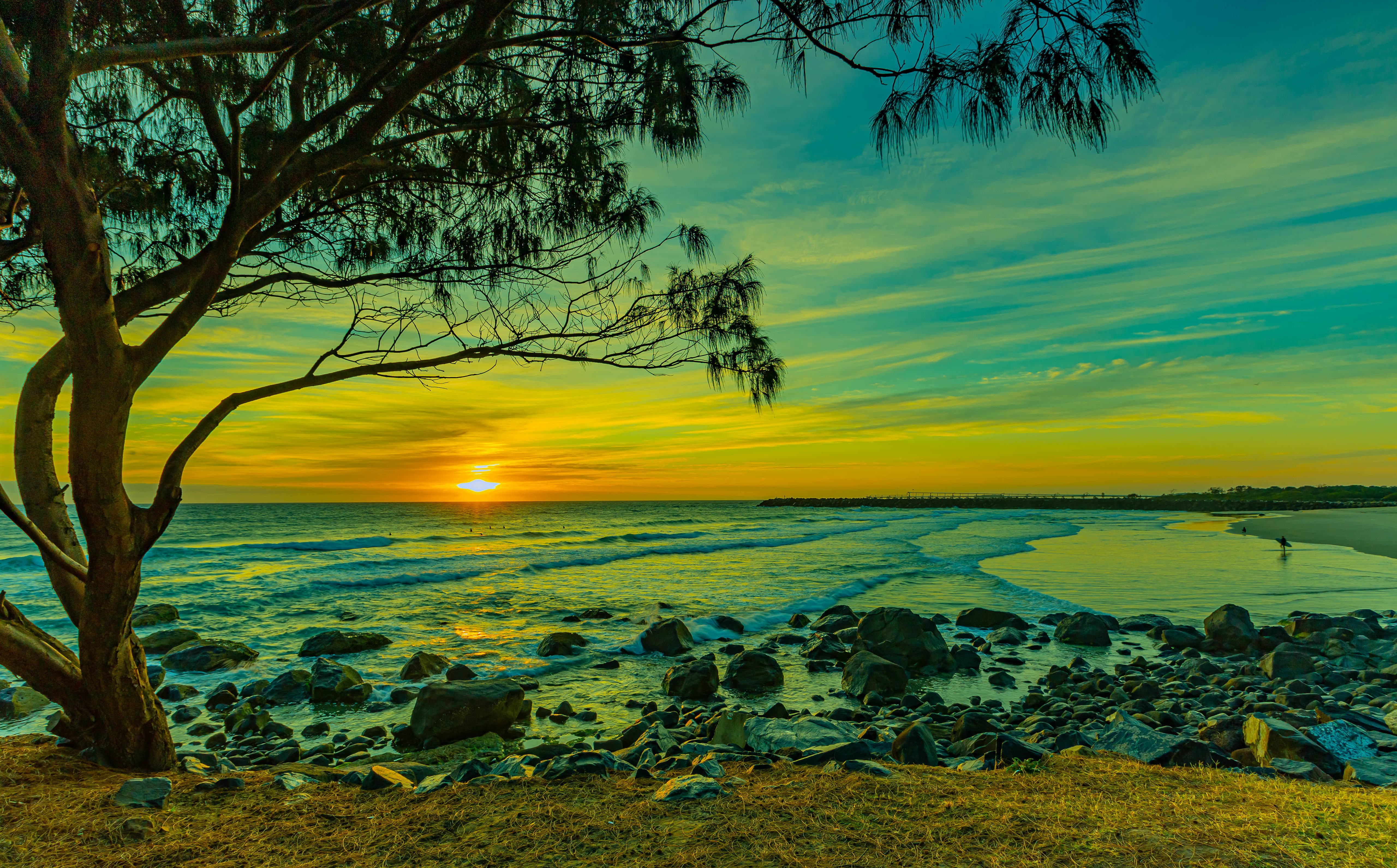 Sea Sun Sunset Tree Shore 5120x3182