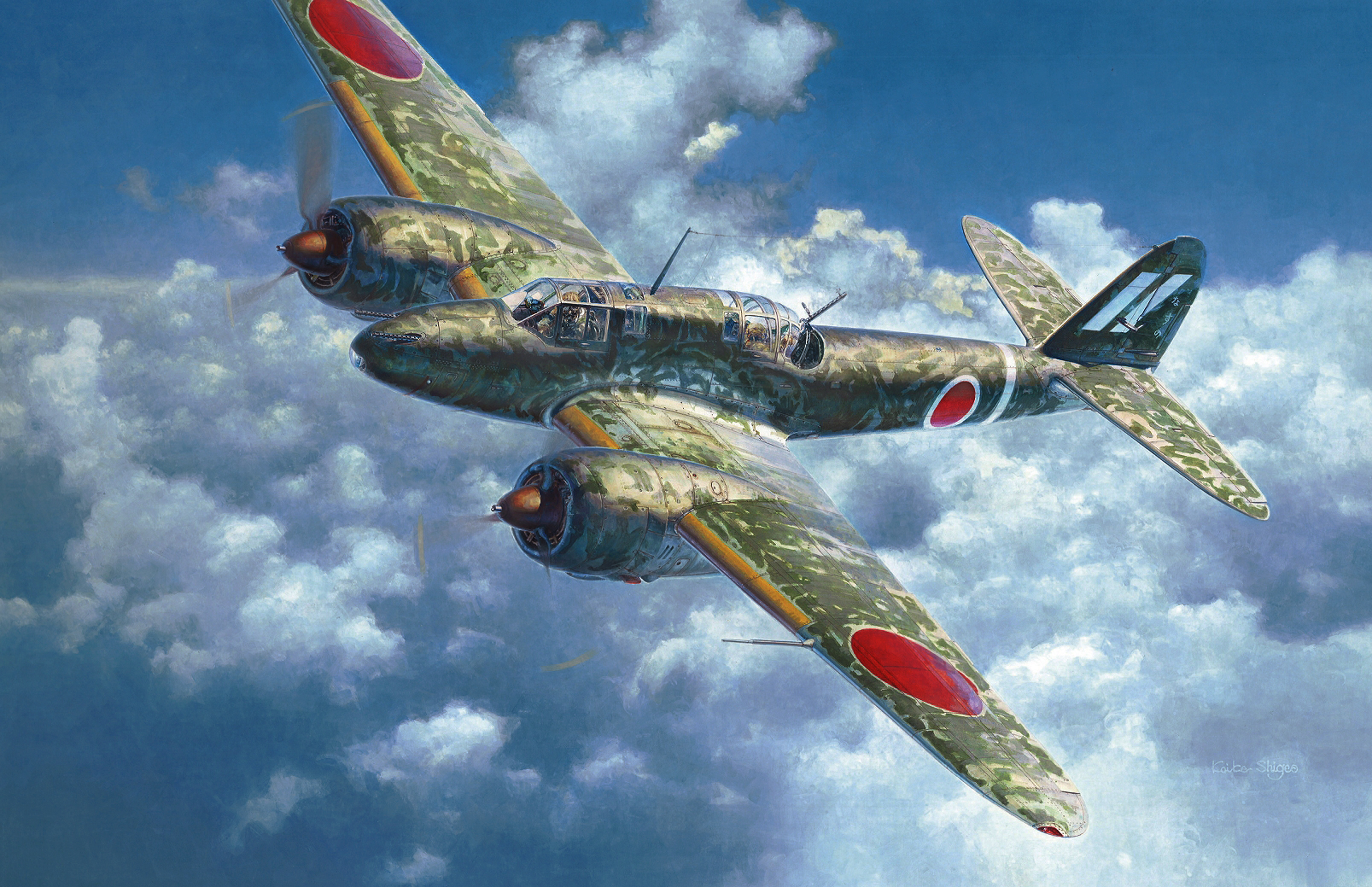 World War Ii World War War Military Military Aircraft Aircraft Airplane Combat Aircraft Artwork Boxa 2411x1559