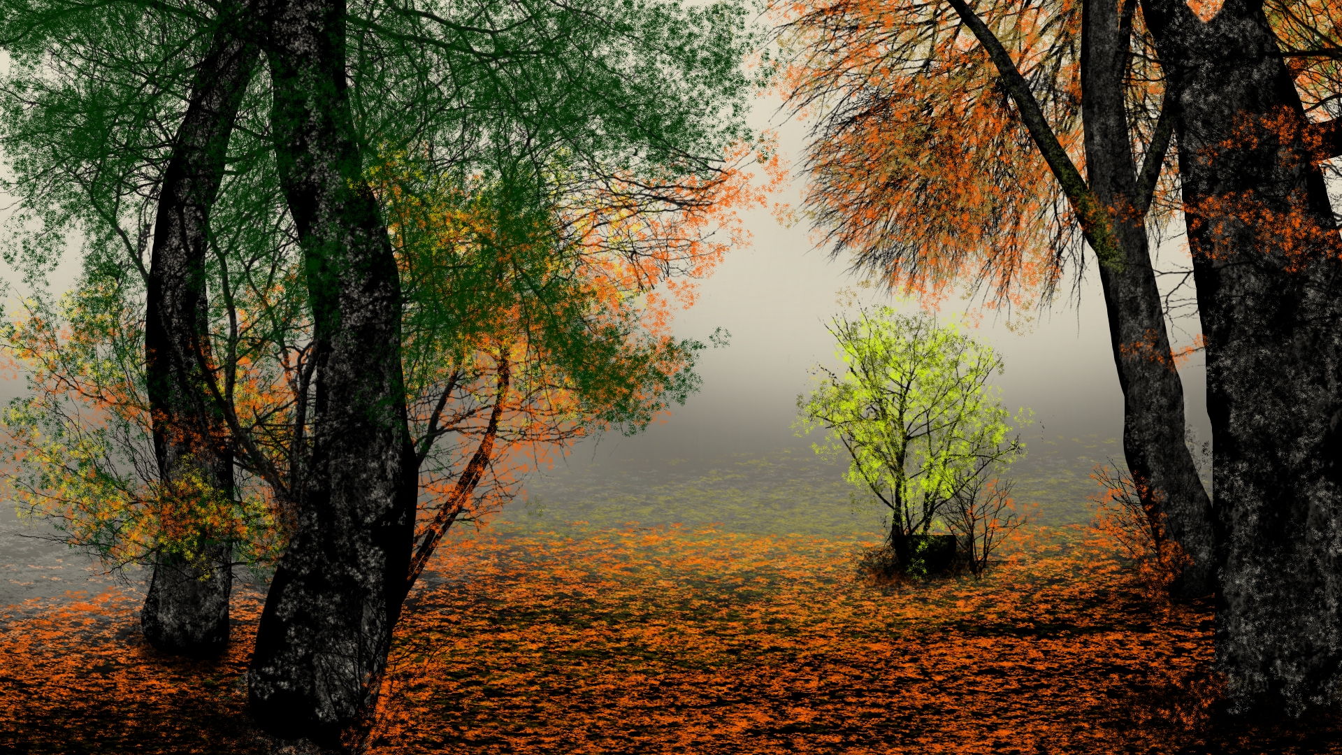 Digital Painting Digital Art Nature Landscape Fall Trees Artwork 1920x1080