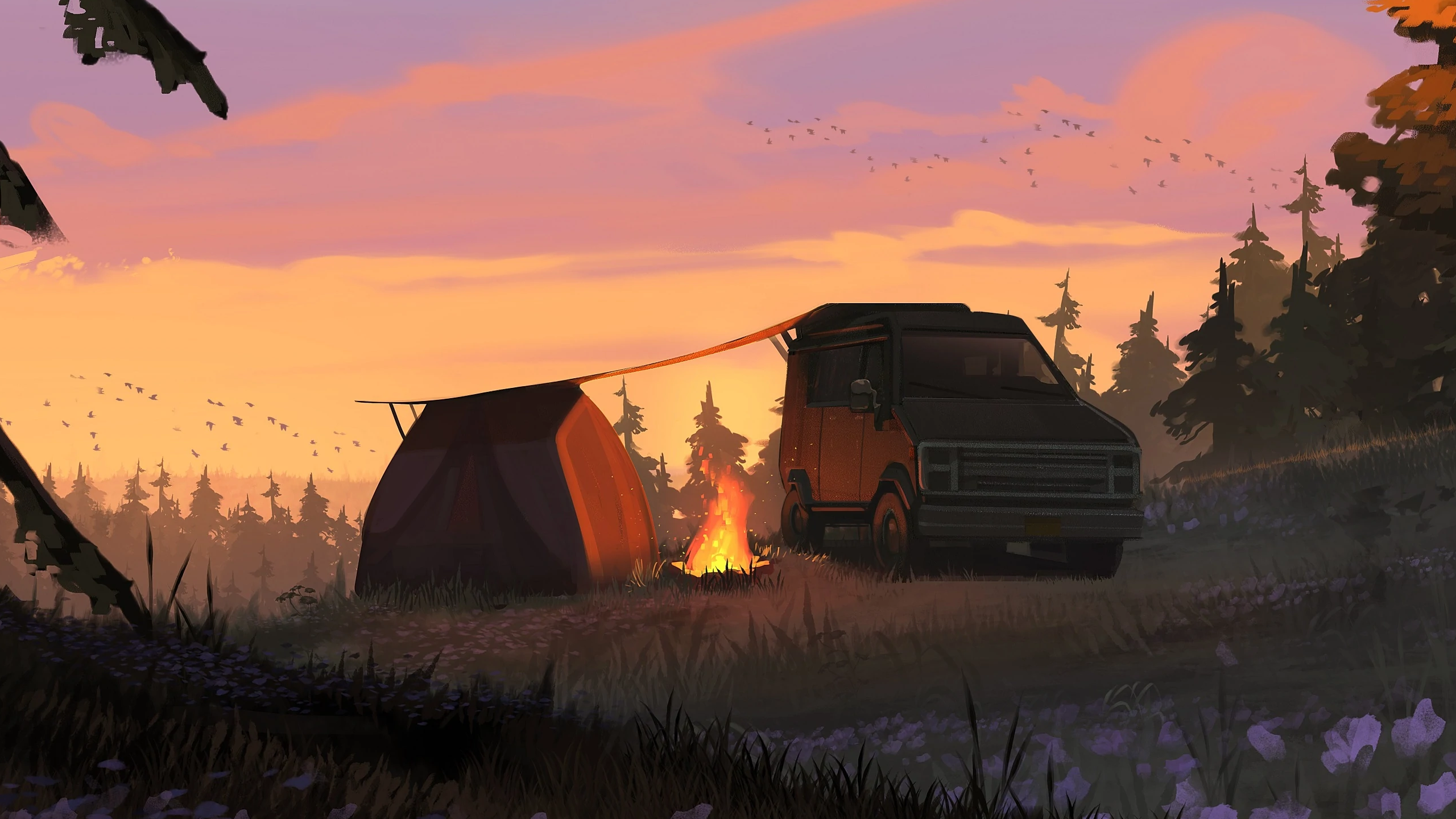 Camping Fire Car Nature 2560x1440