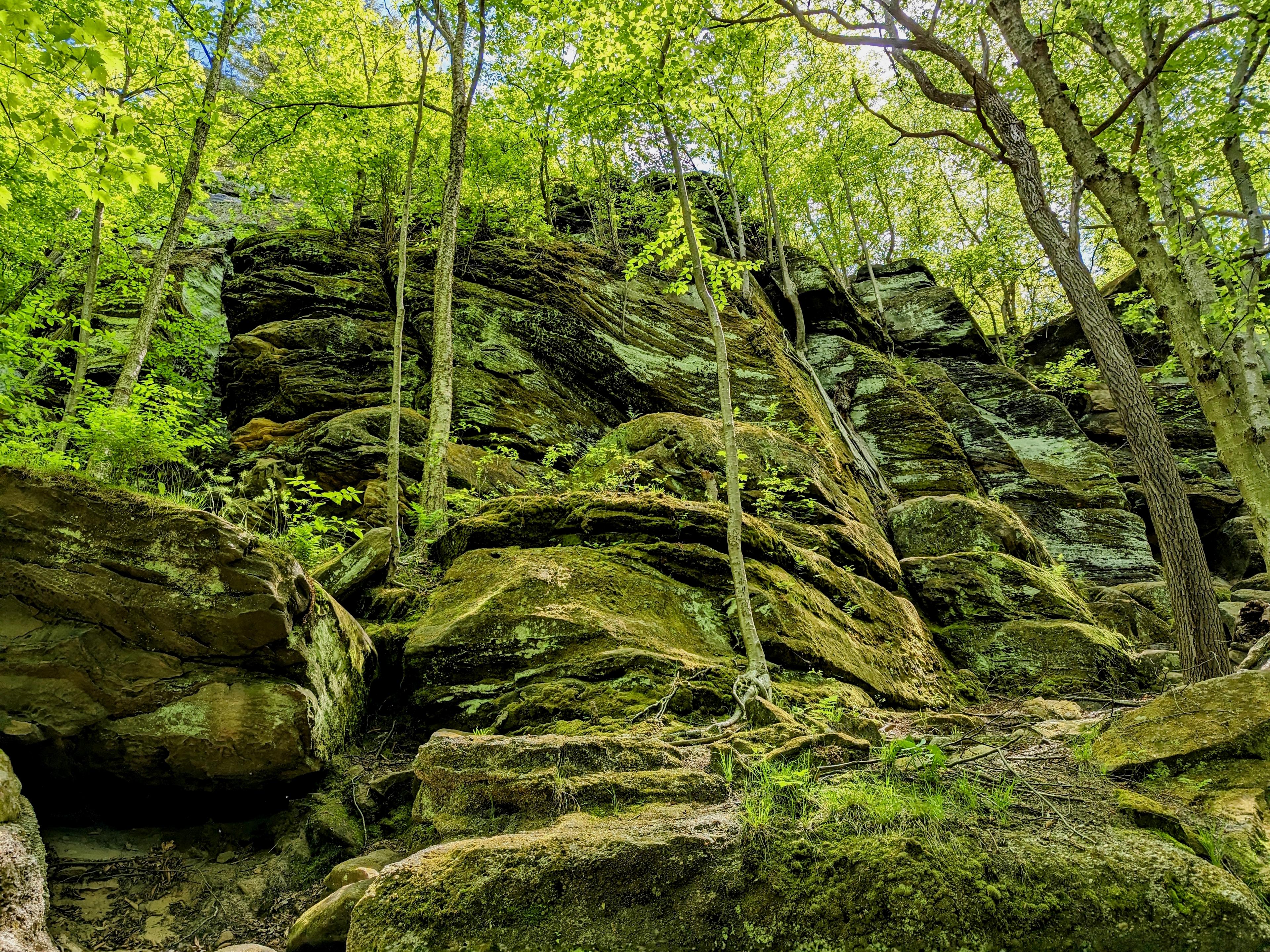 Nature Rocks Moss Trees Cliff Forest Green Stones 3840x2880