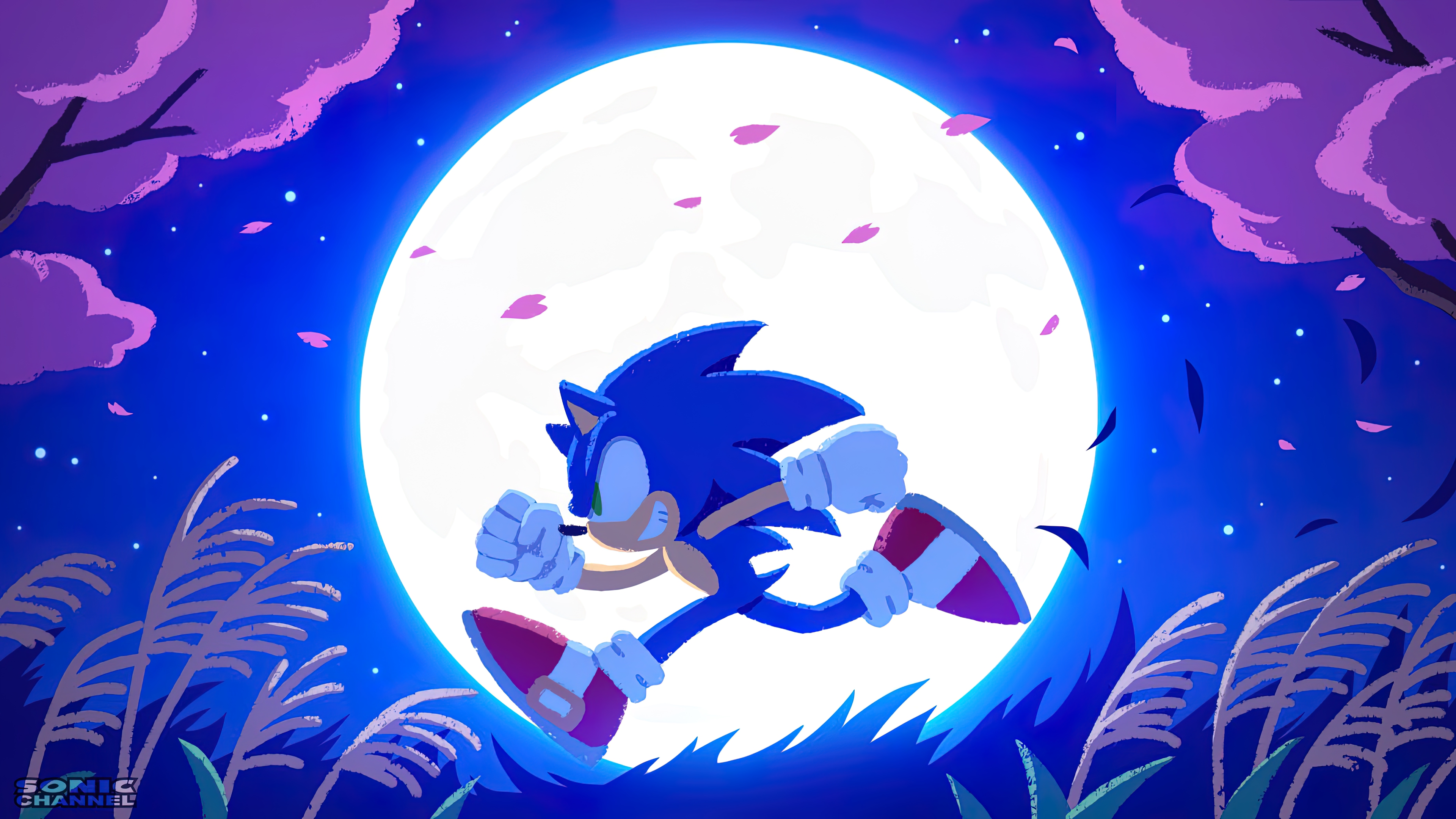 Sonic Sonic The Hedgehog Anthro Video Game Art Video Game Characters Sega Yui Karasuno Moon Flowers  3840x2160