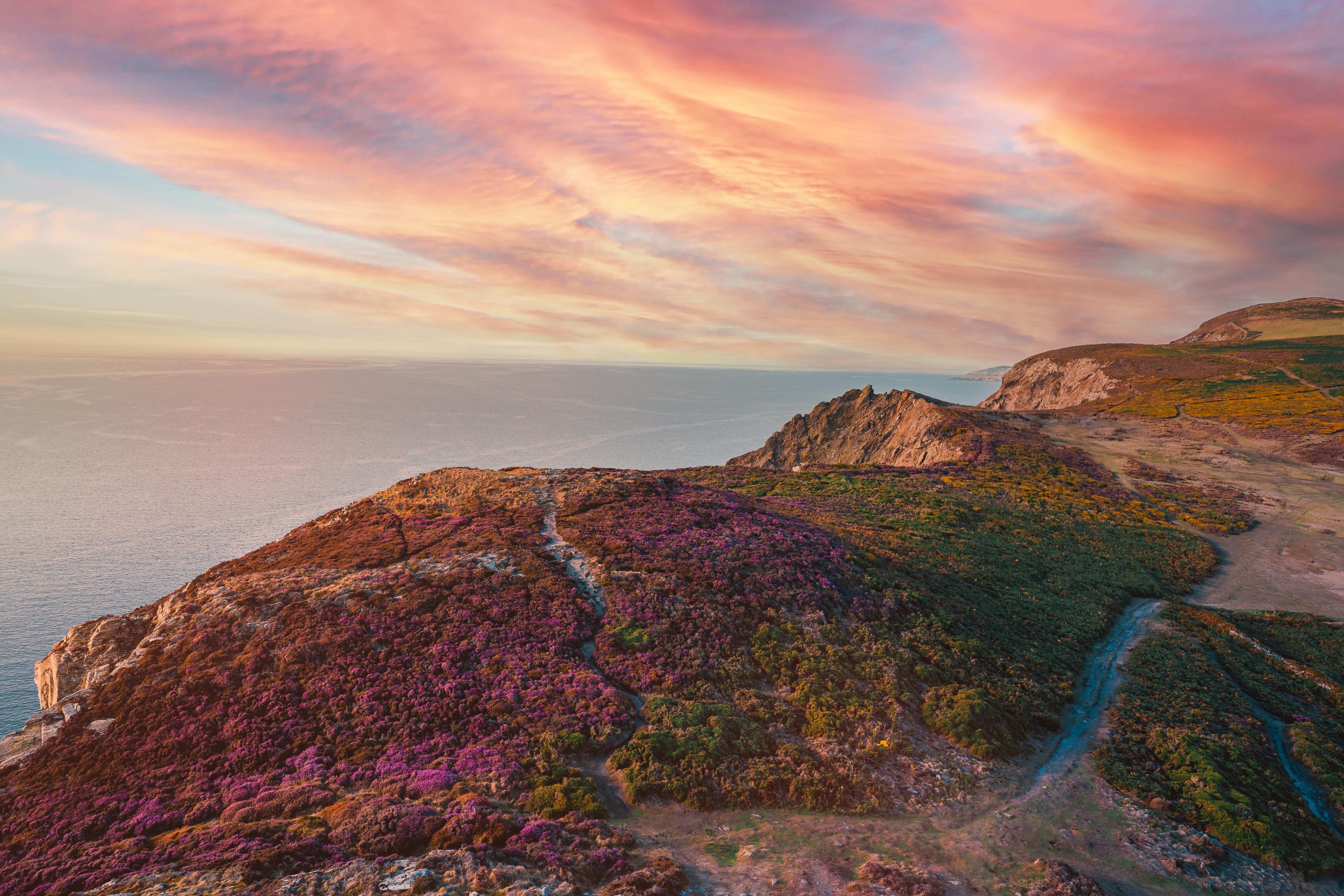 Cliff Landscape Nature Sea Isle Of Man UK Flowers Clouds Sunset Sky 6000x4000