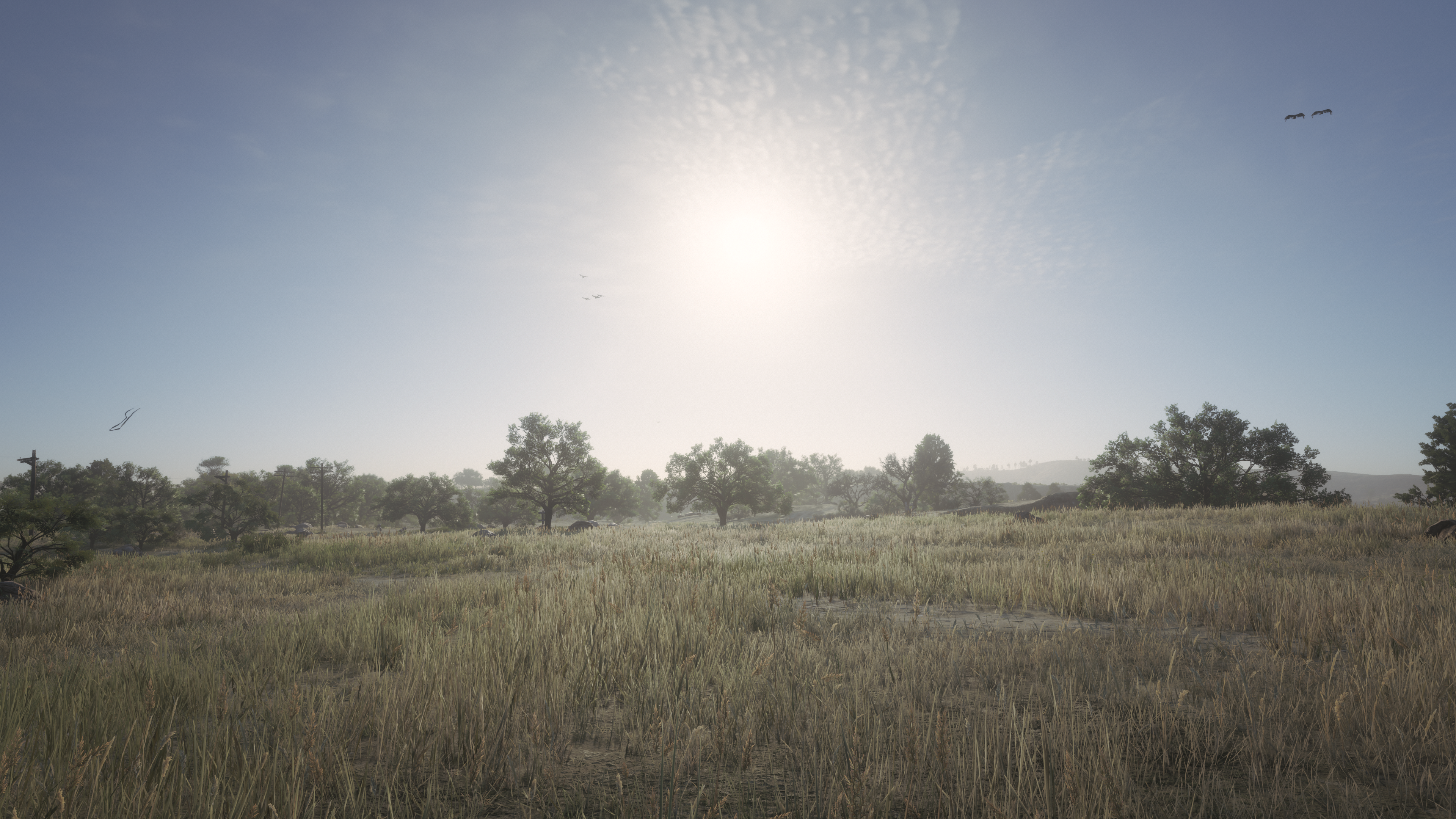 Red Dead Redemption 2 Landscape Grass Video Games CGi Trees Sky Clouds Sun Sunlight 3840x2160