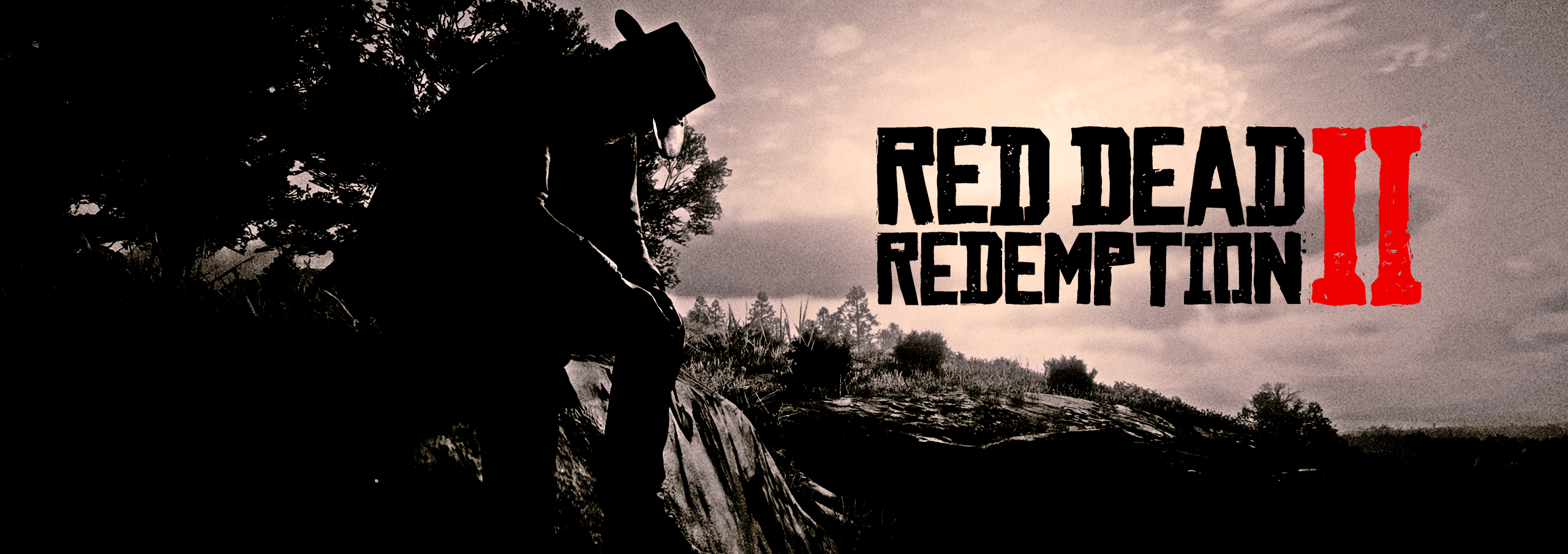 Red Dead Redemption Rockstar Games Video Game Art Silhouette Hat Video Games Logo Monochrome Red Dea 2560x904