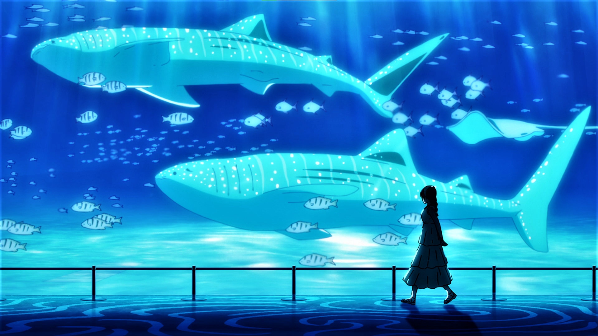 Jujutsu Kaisen Whale Shark Fish Whale Water Anime Anime Screenshot Anime Girls Aquarium Walking Anim 1920x1080