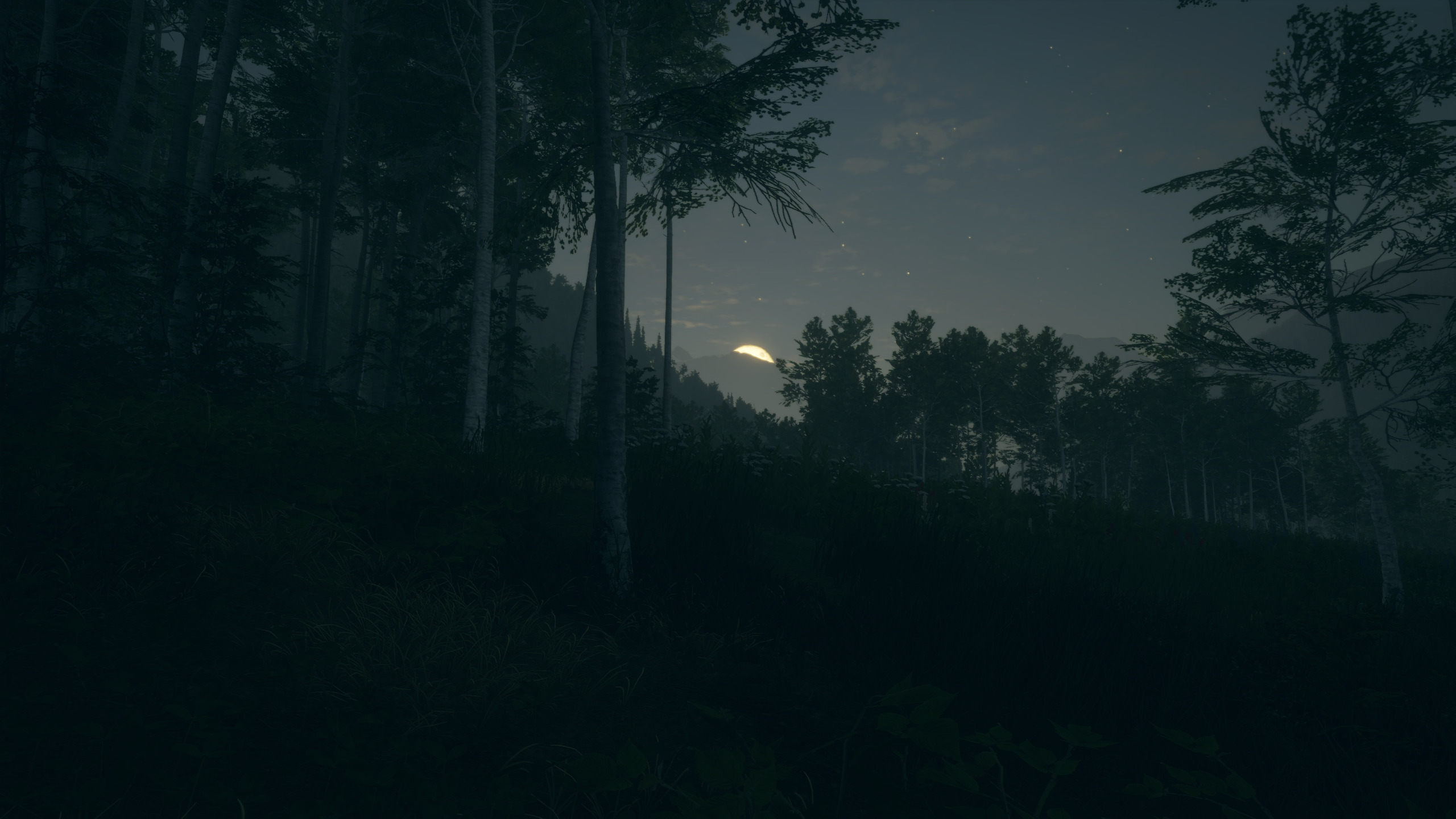 TheHunter Call Of The Wild Night Video Game Art Moon Moonlight Forest Trees Sky Clouds Mountains Vid 2560x1440
