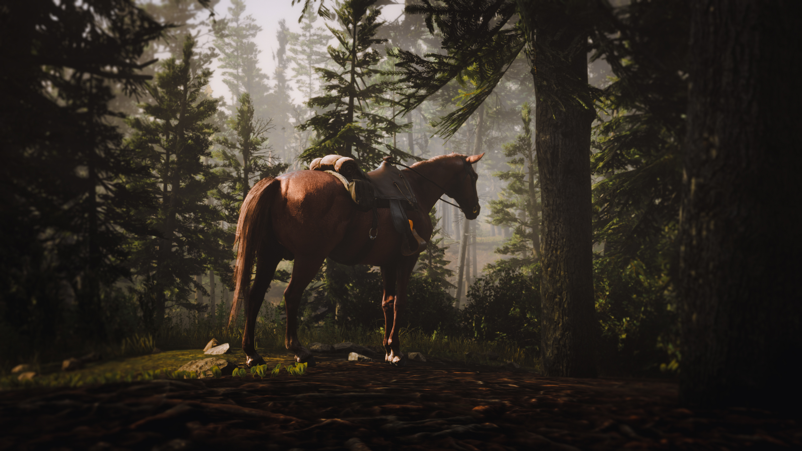 Photography Game Photography Red Dead Redemption 2 Rockstar Games PC Gaming Horse Animals Cowboy 2560x1440