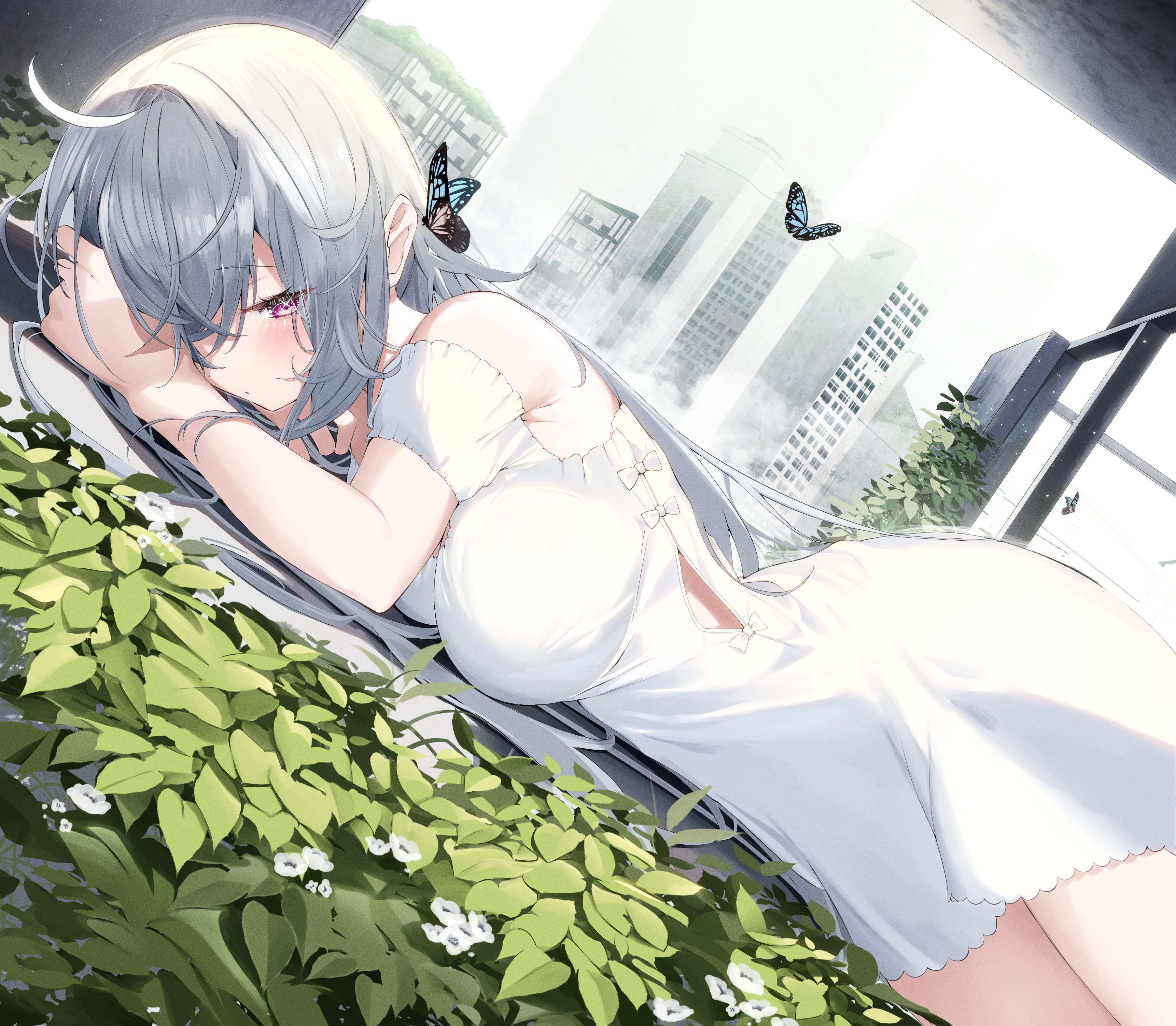 Anime Girls White Dress Gray Hair Purple Eyes Looking At Viewer Leaves White Flowers Butterfly One E 3612x3152