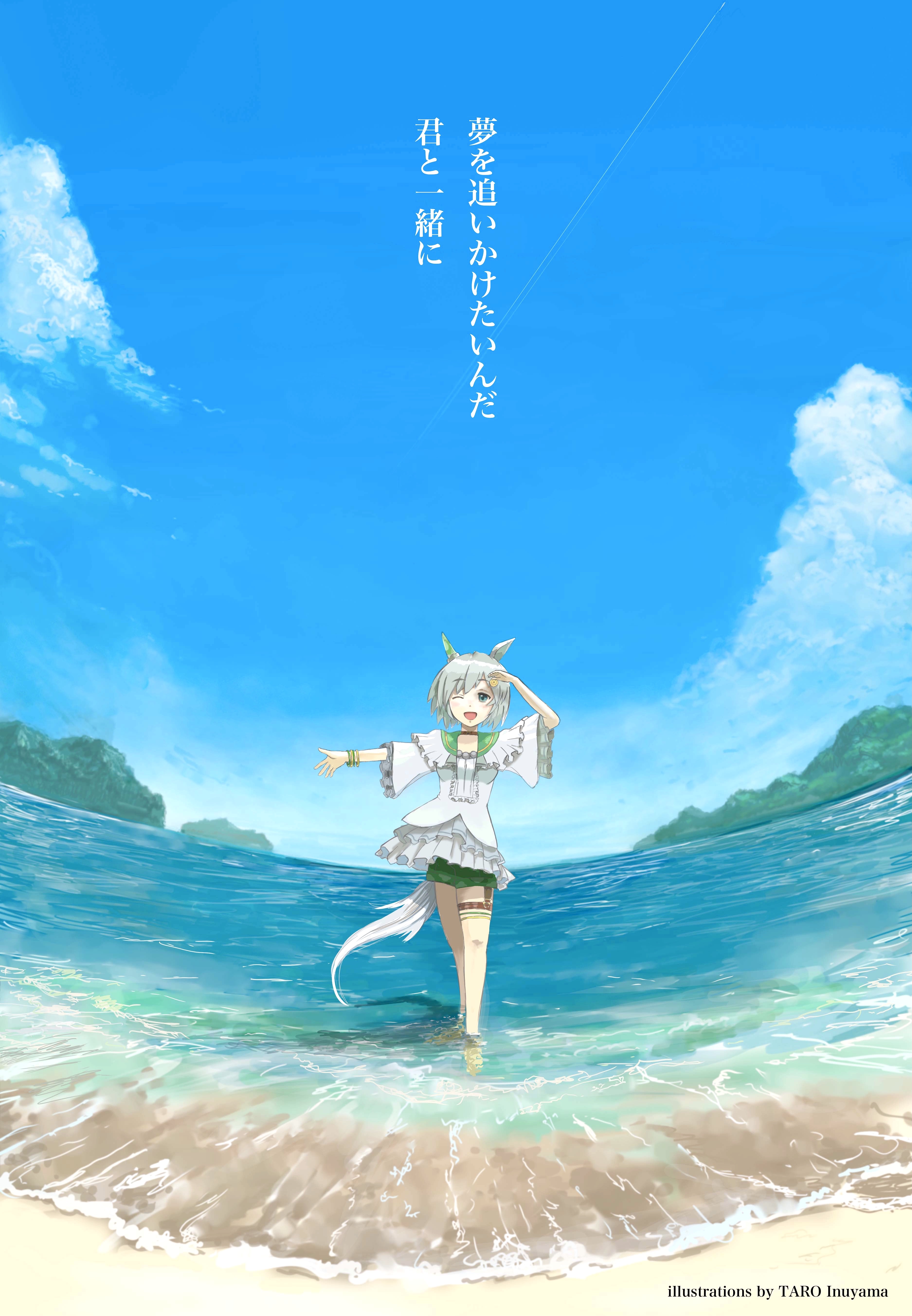 Inuyamatarou Beach Uma Musume Pretty Derby Seiun Sky Uma Musume Anime Girls Portrait Display Anime O 3749x5409