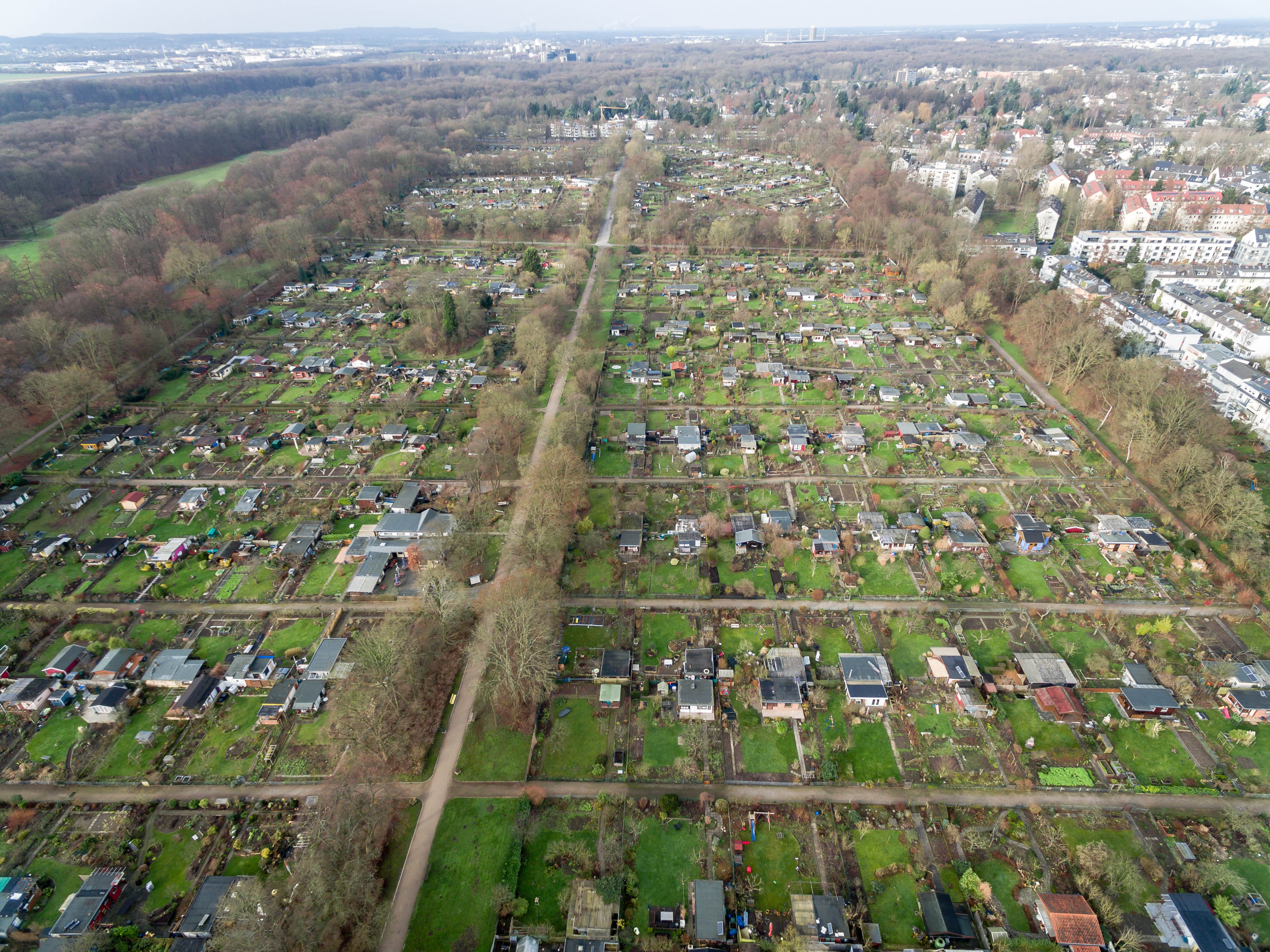 Germany Garden House City Suburb Aerial View Neighborhood Trees Forest 3992x2992