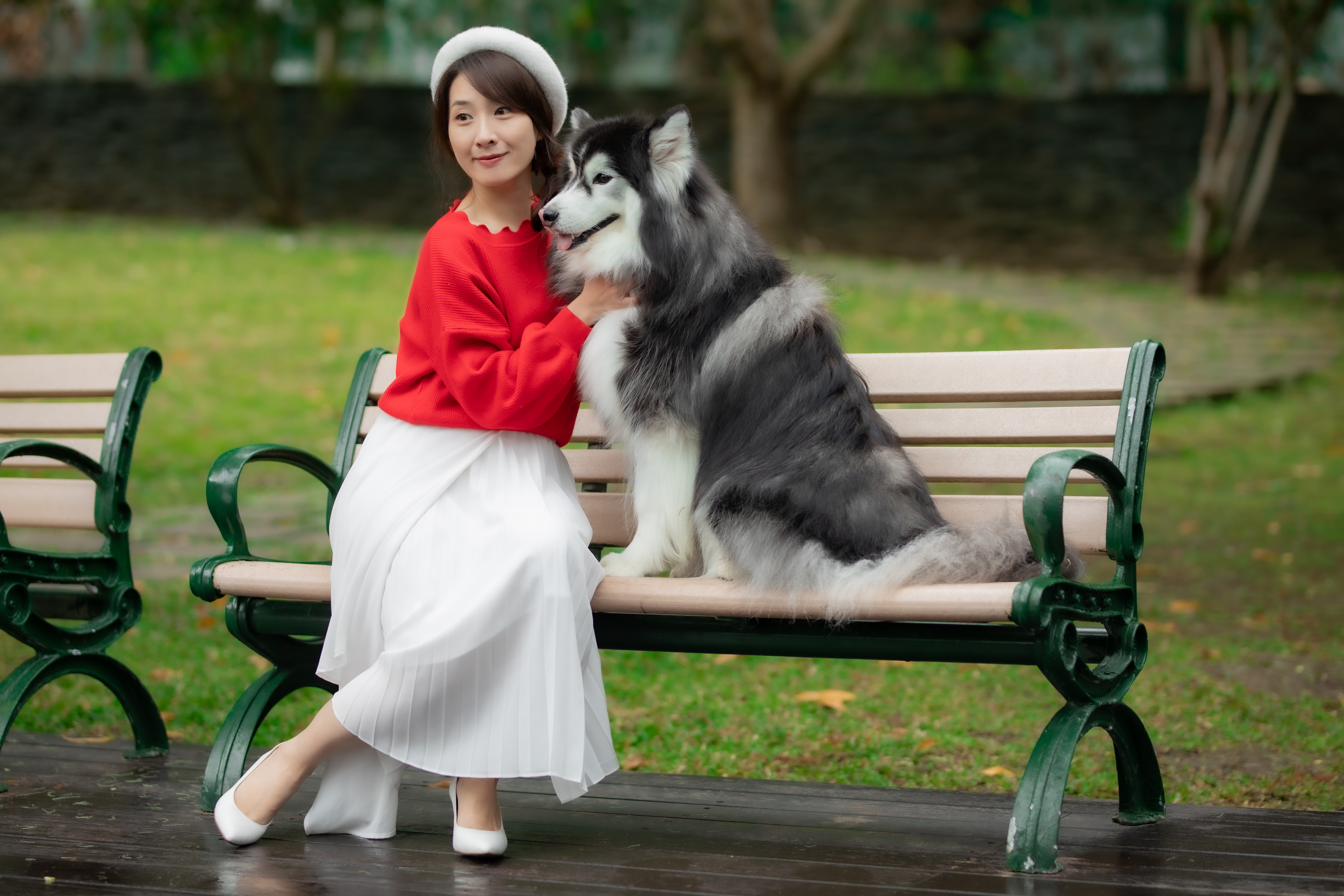 Asian Model Women Long Hair Dark Hair Bench Dog Berets White Skirt Red Pullover White Heels 3840x2560