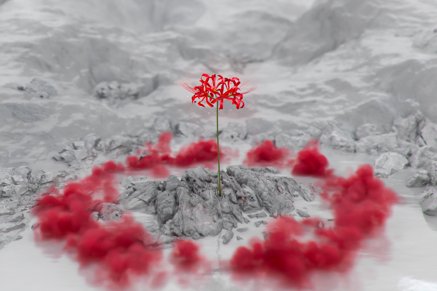 Spider Lilies Smoke Red 3D Abstract CGi Digital Art Landscape Ash Particles Reflection Abstract Flow 1800x1200