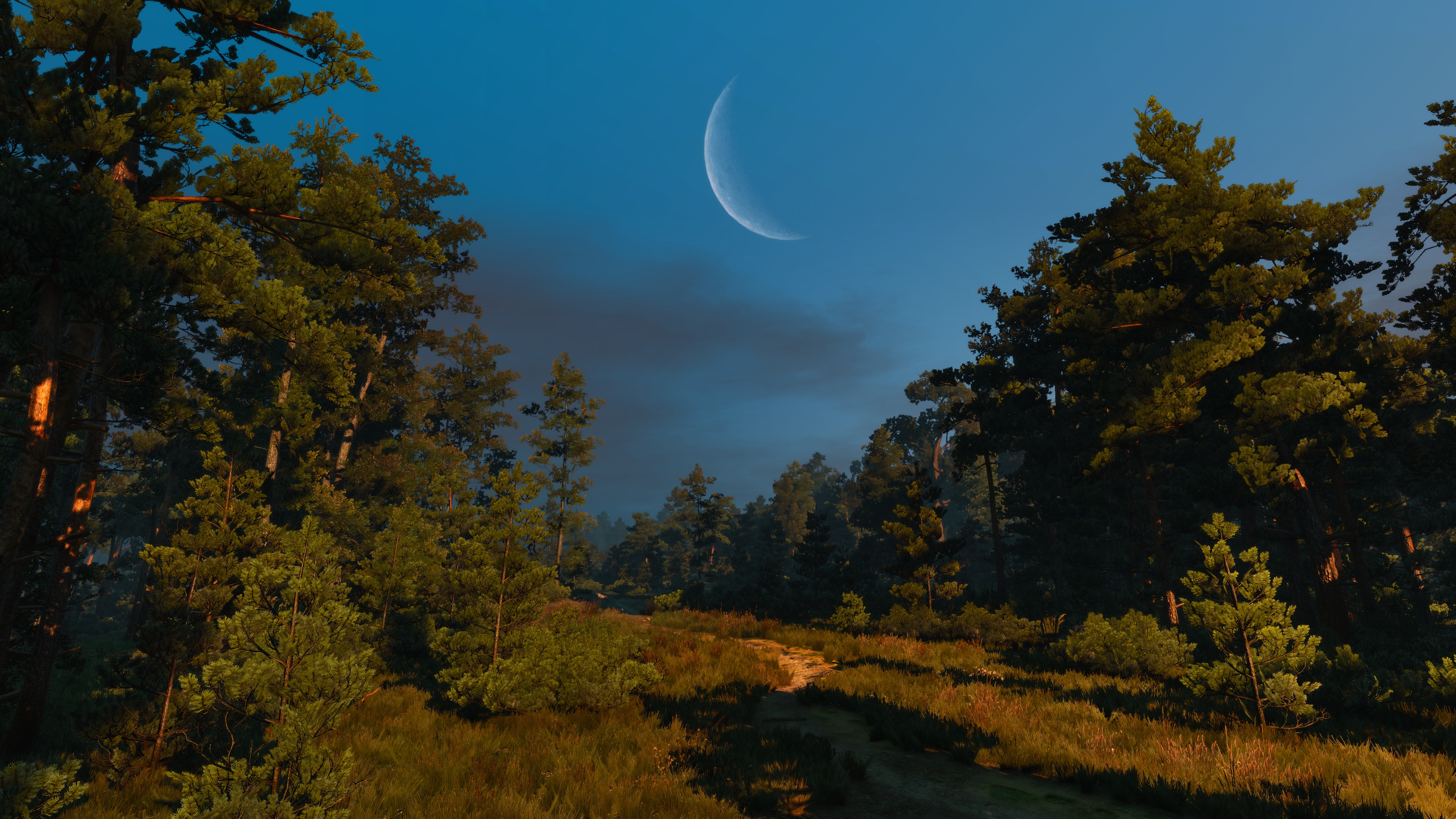 The Witcher 3 Wild Hunt PC Gaming Screen Shot Moon Forest Evening 3840x2160