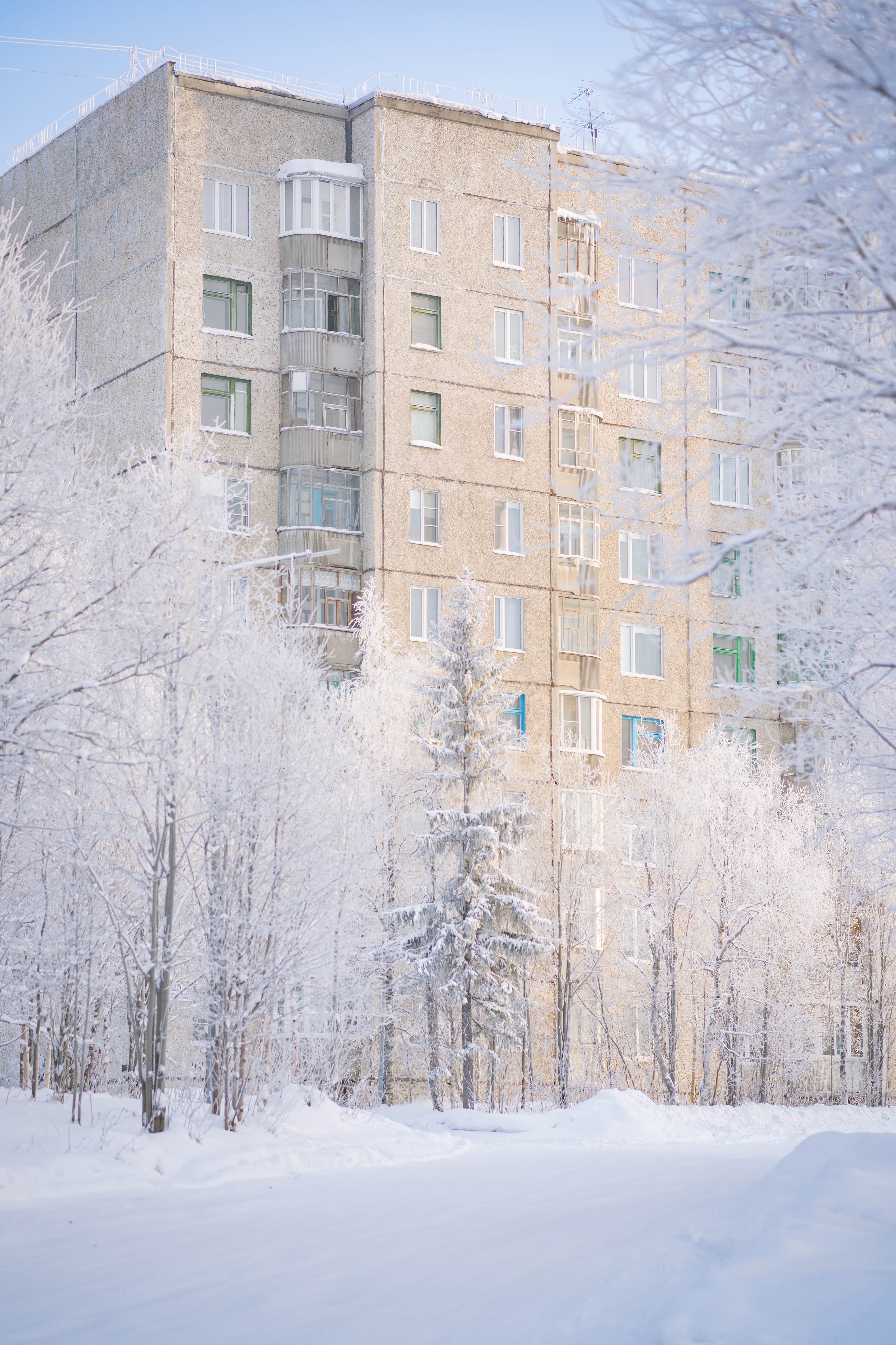Snow Building Block Of Flats Brutalism Winter Portrait Display Trees Cold Frost 3873x5809