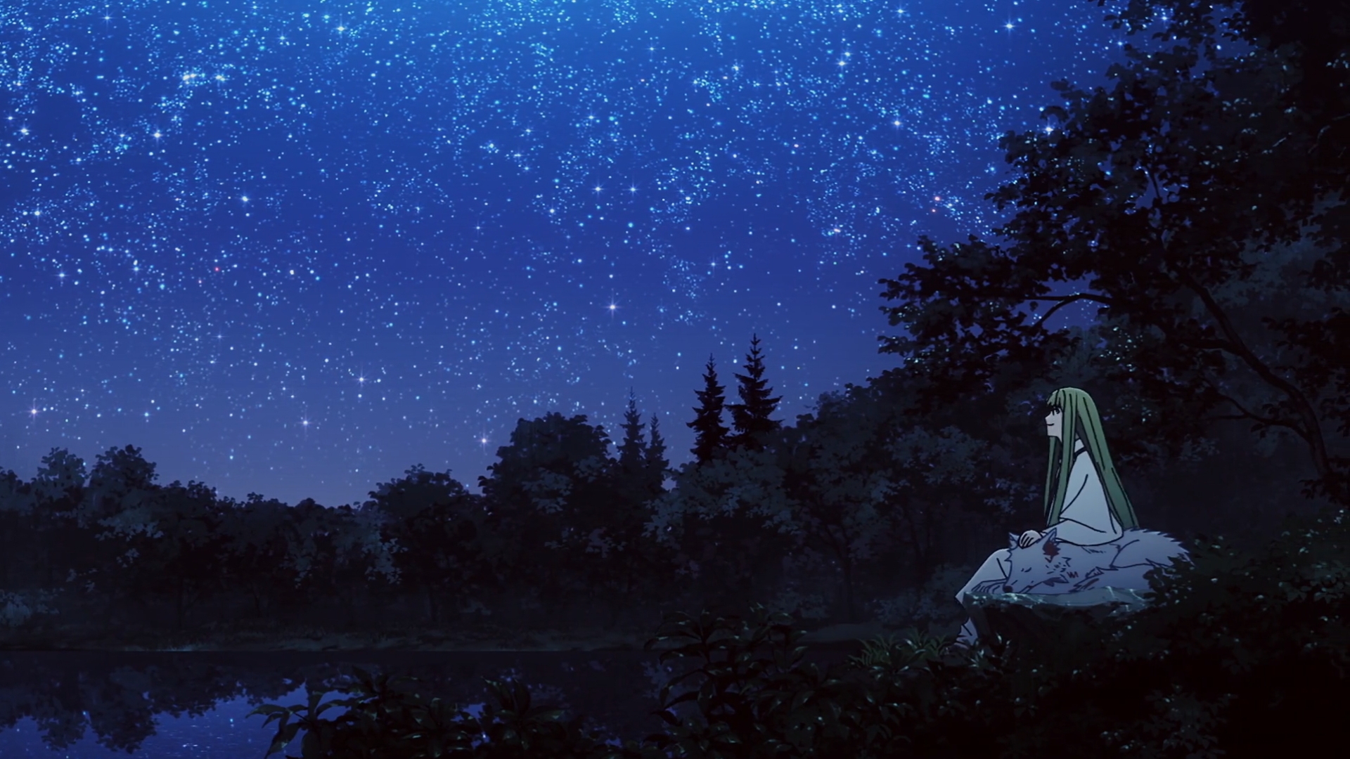 Fate Series Fate Strange Fake Enkidu FGO Anime Screenshot Sky Stars Reflection Water Long Hair Anime 1920x1080