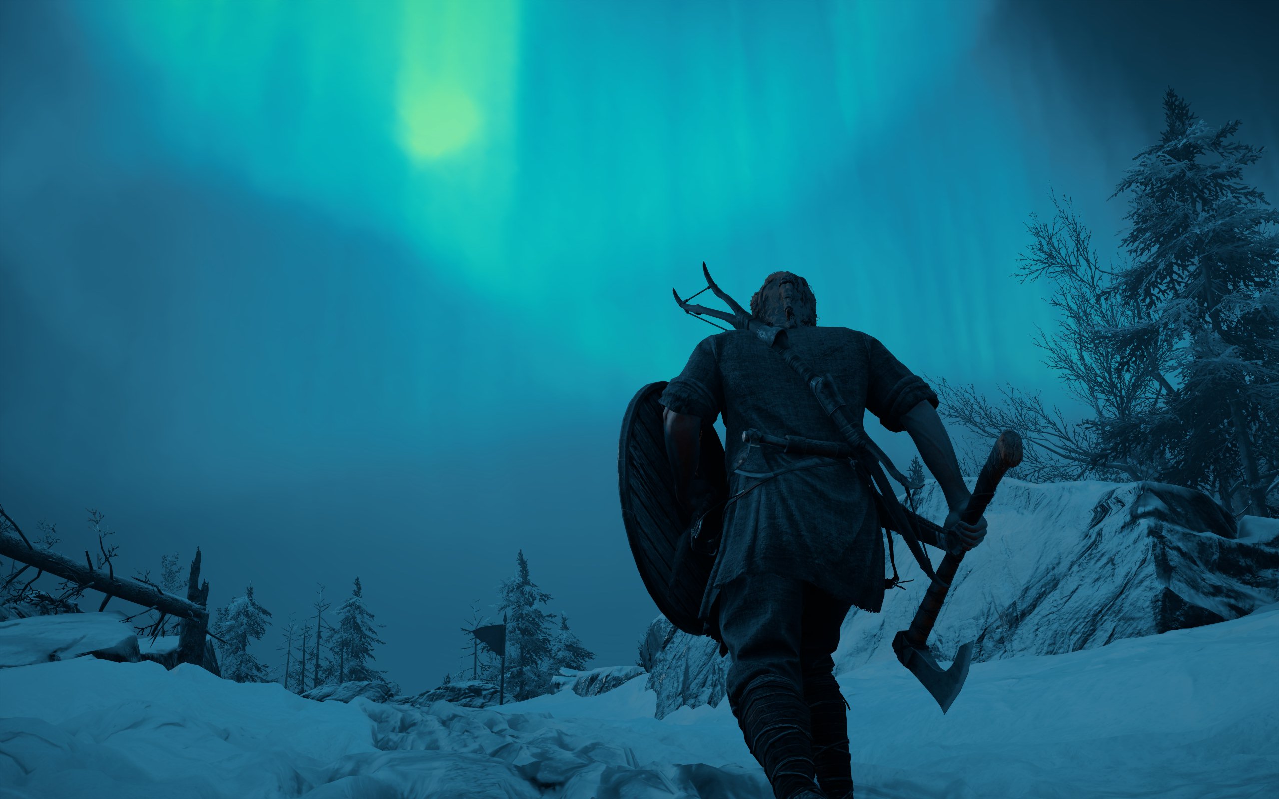 Assassins Creed Valhalla Screen Shot Video Games Ubisoft CGi Snow Aurorae Sky Night Trees Nature 2560x1600