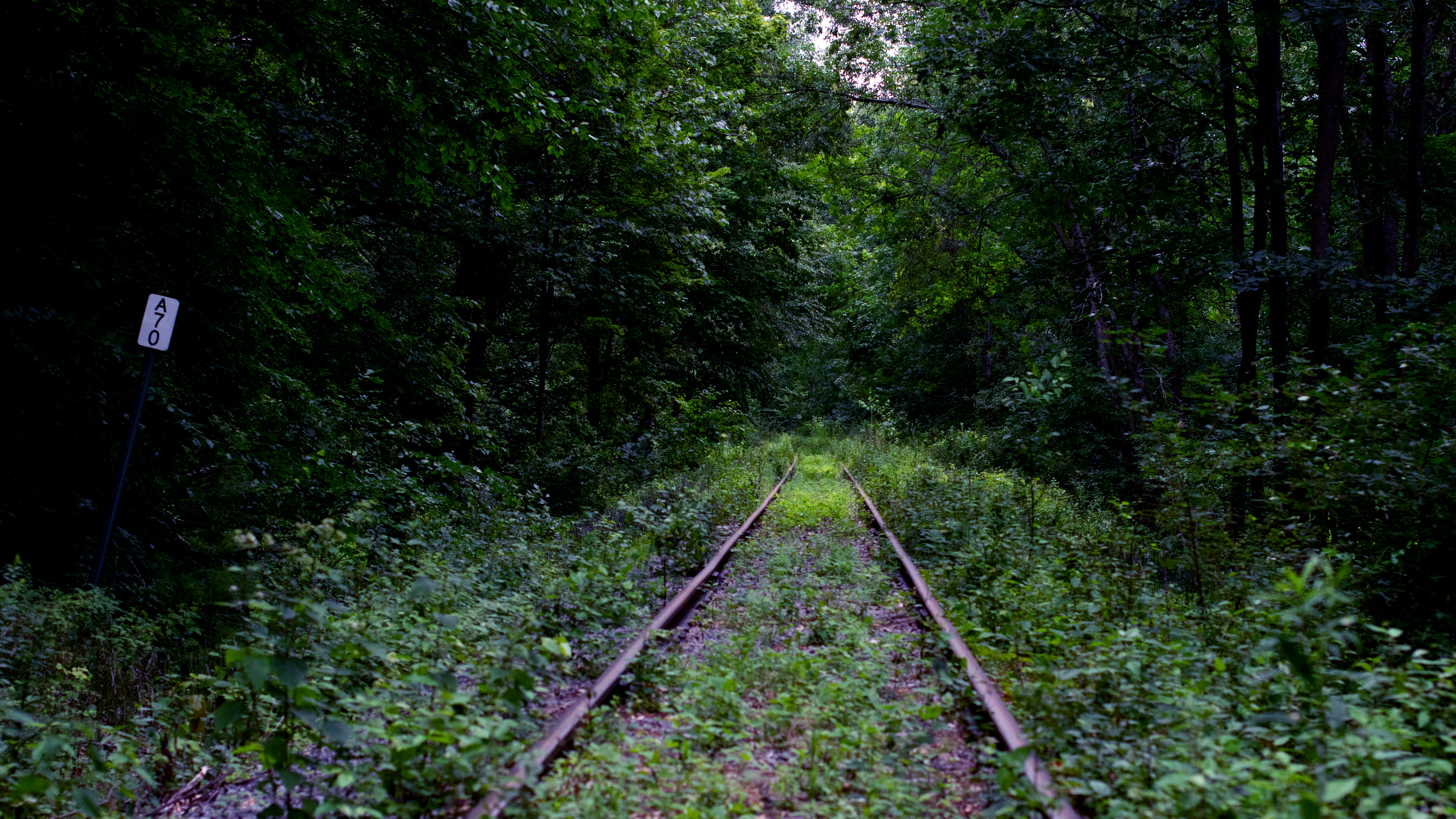 Railroad Track Railway Overgrown Abandoned Green Kyle Larivee Nature 3840x2160