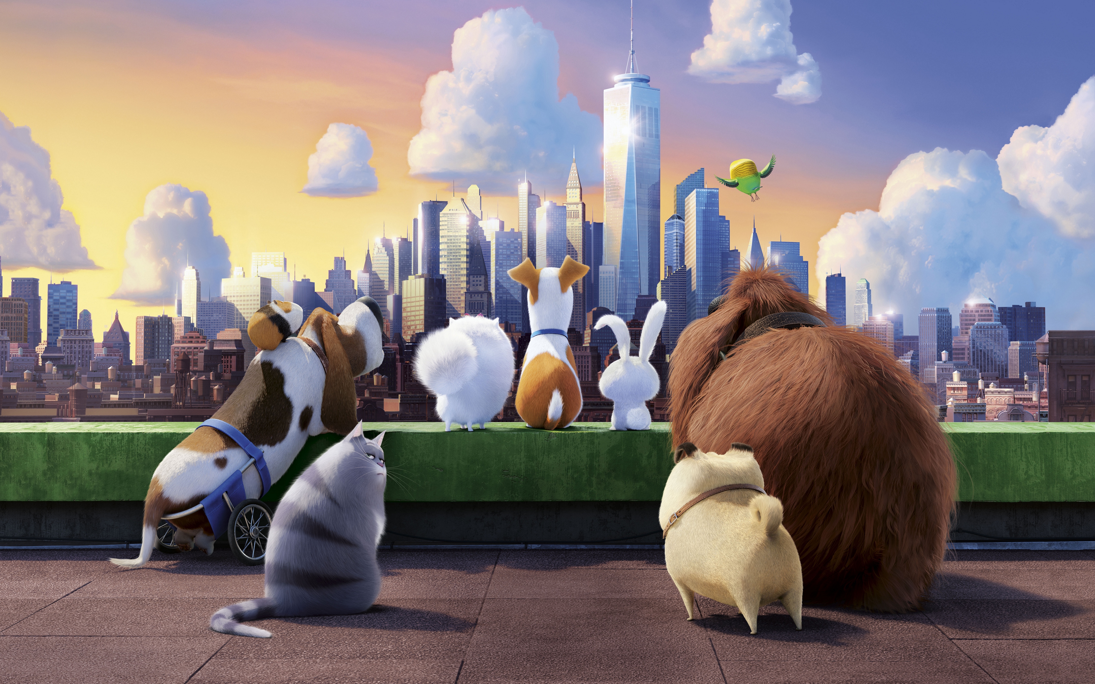 The Secret Life Of Pets Animals Movies Animation City Pet Dog Cats Birds Building Clouds Sunset Suns 3840x2400