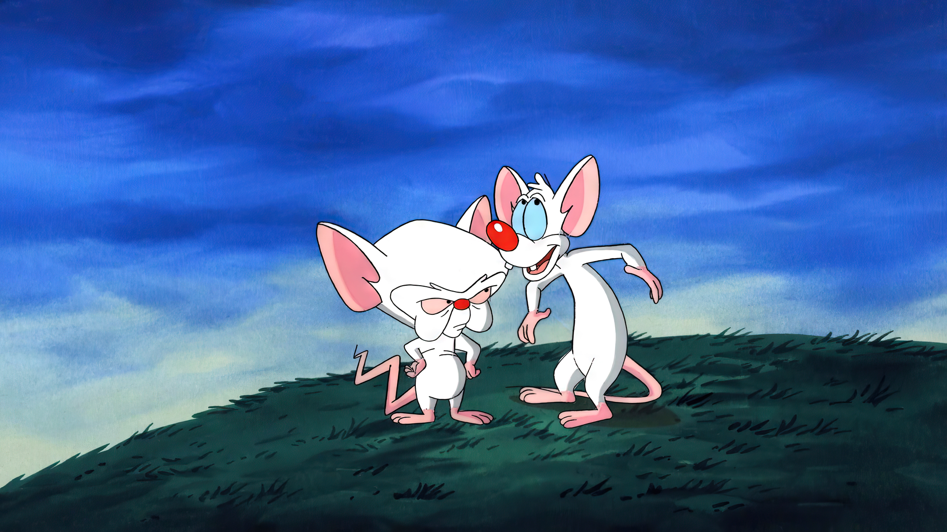 Pinky And The Brain Animation Cartoon Sky Grass Mouse Animal Production Cel Warner Brothers Screen S 1920x1080