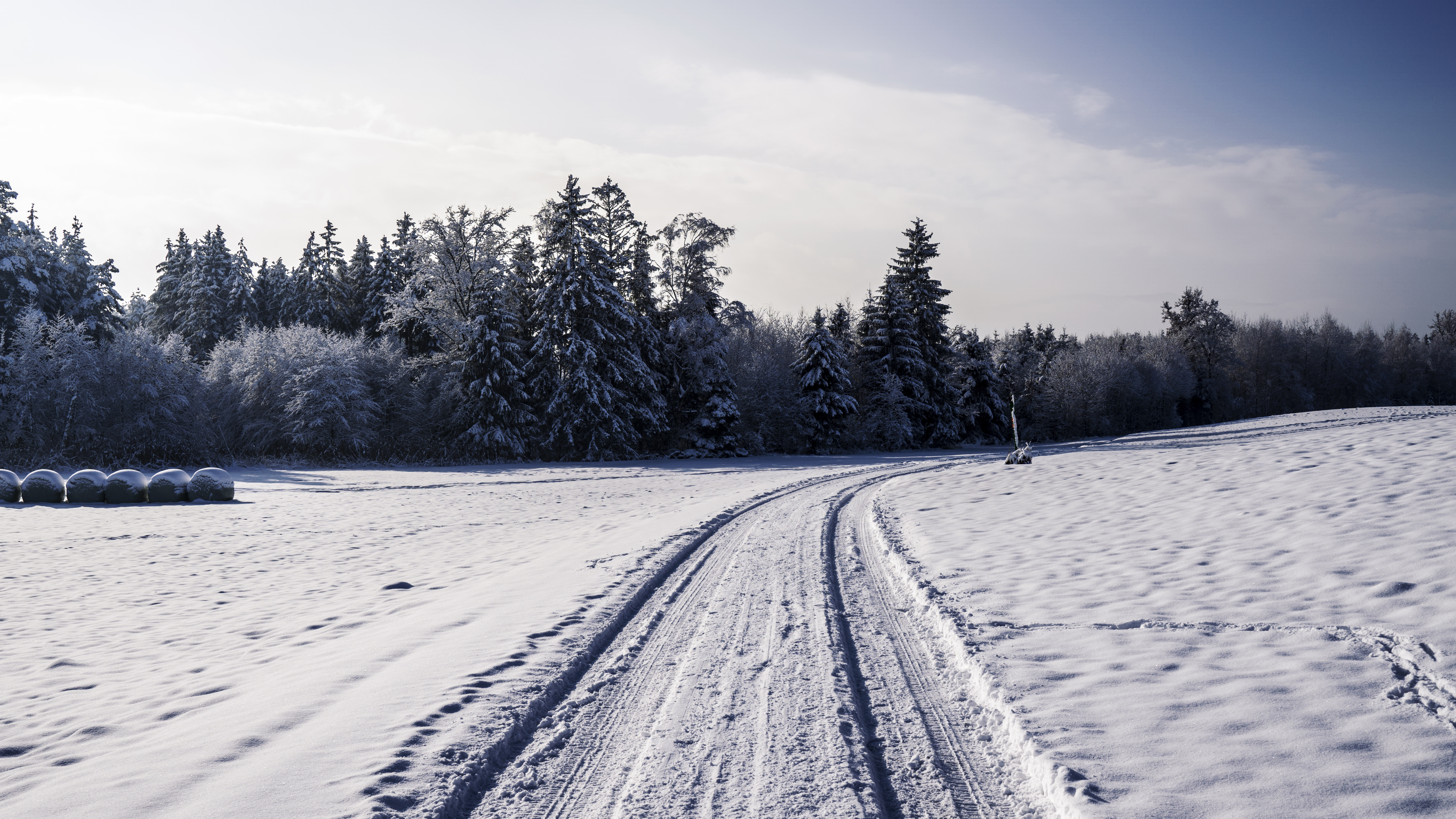 Nature Landscape Trees Snow Winter Outdoors Tracks Sky Wide Angle Clouds Path 6000x3376