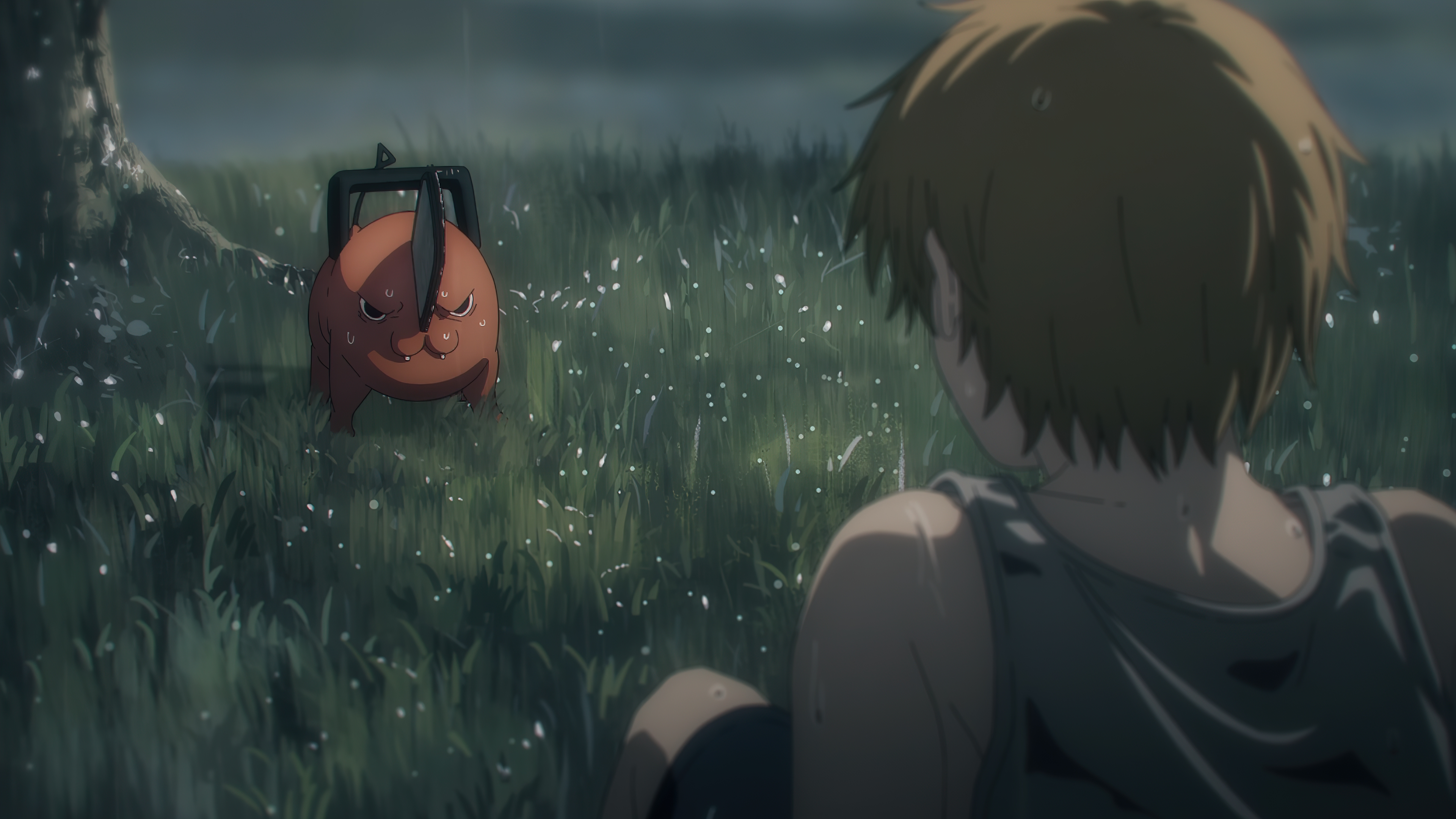 Chainsaw Man Anime 4K Anime Screenshot Denji Chainsaw Man Pochita Chainsaw Man Anime Boys Rain Grass 3840x2160