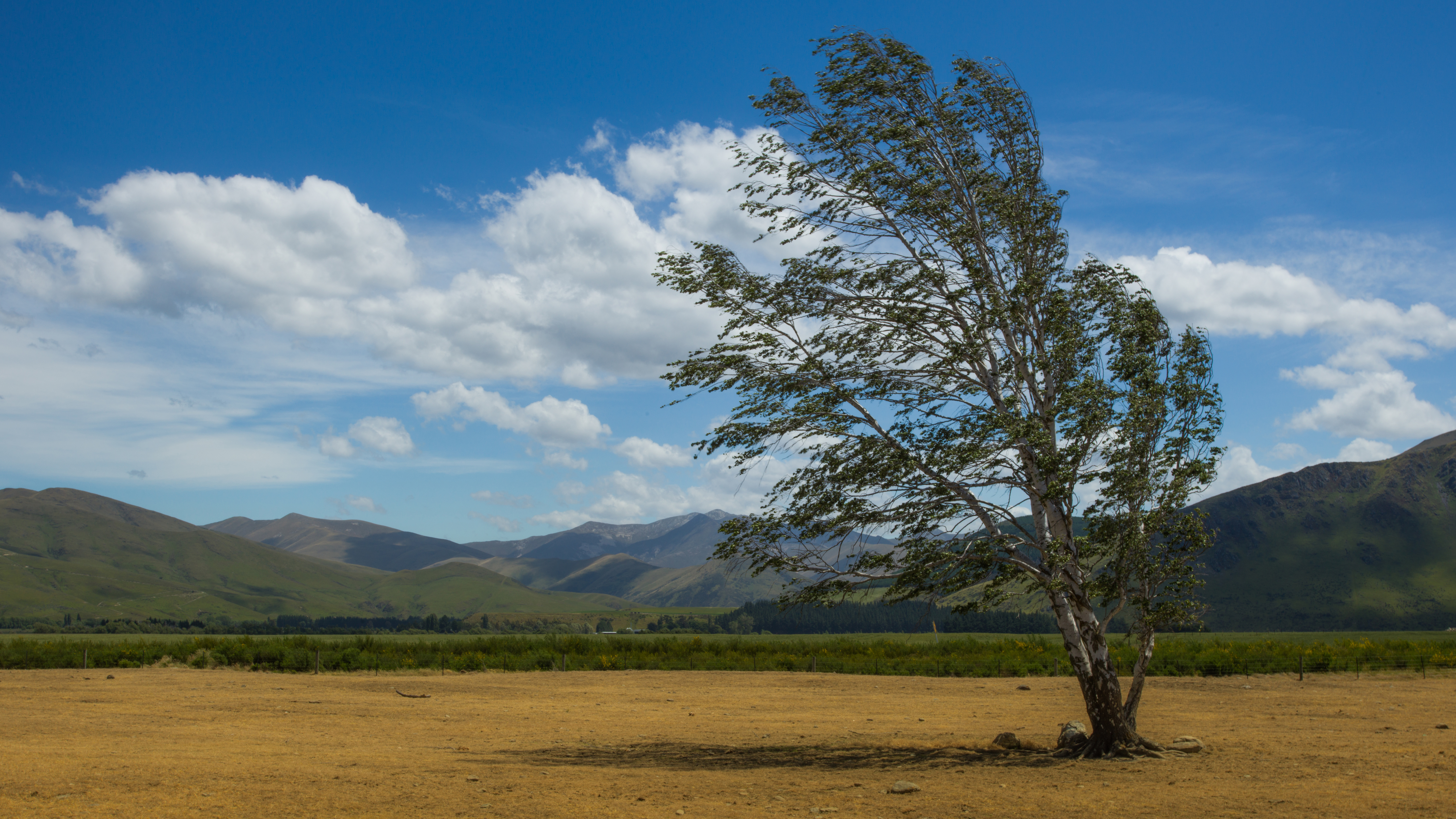 Photography Trey Ratcliff Landscape New Zealand Mountains Trees Field Nature Clouds 7680x4320