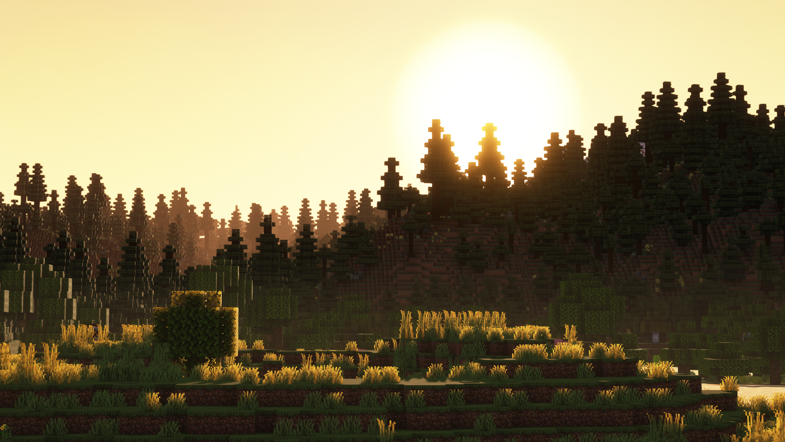Minecraft Outdoors Shaders Sun Rays Video Games Grass Trees CGi Nature 2560x1440