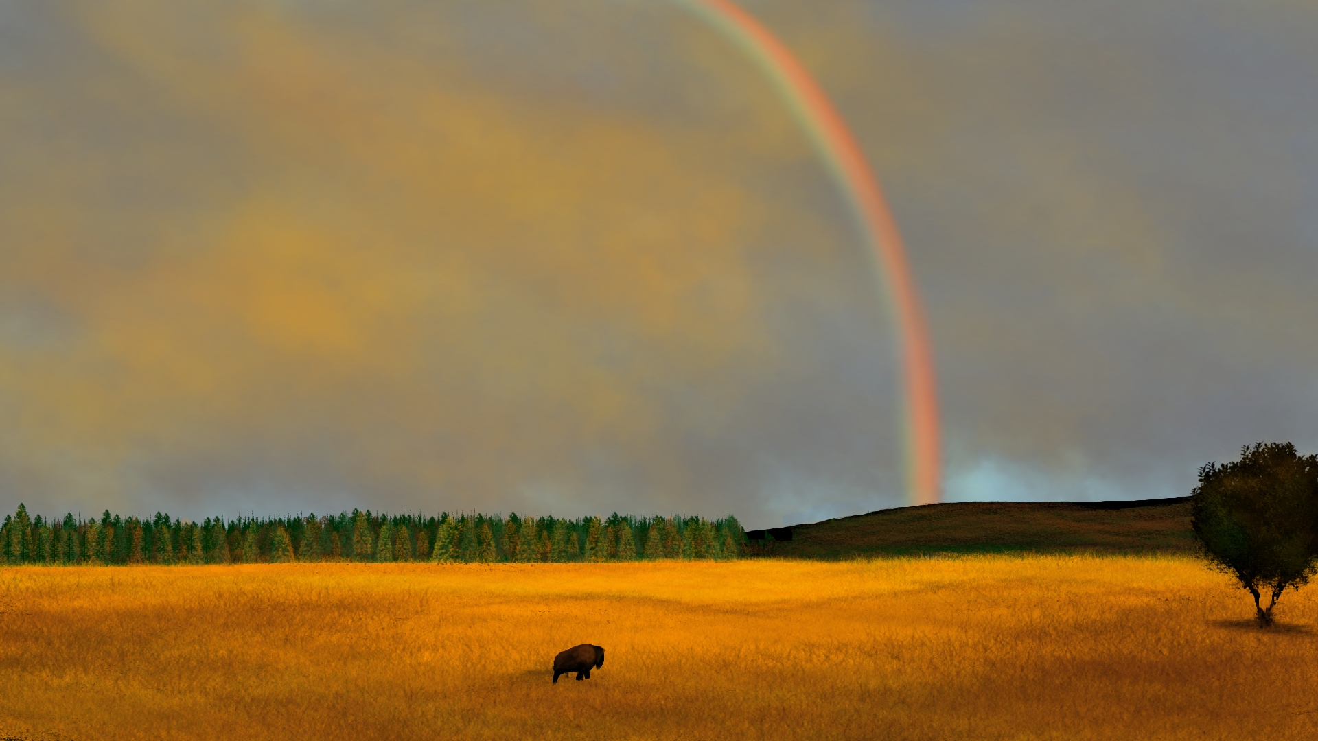 Digital Painting Digital Art Nature Landscape Buffalo Rainbows Trees Animals Field 1920x1080