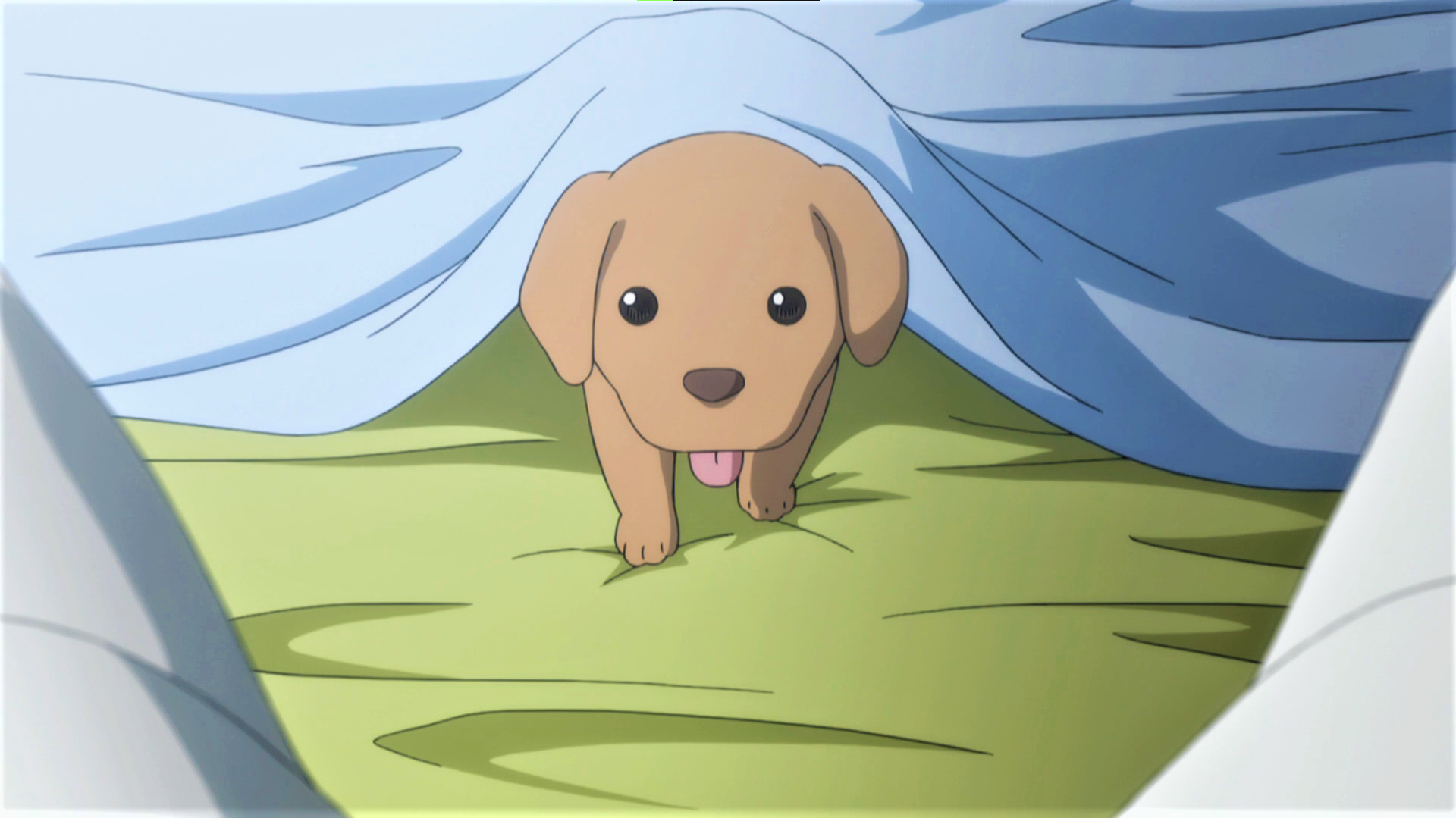 Hunter X Hunter Dog Puppies Tongue Out Blankets Anime Anime Screenshot Animals 1920x1079