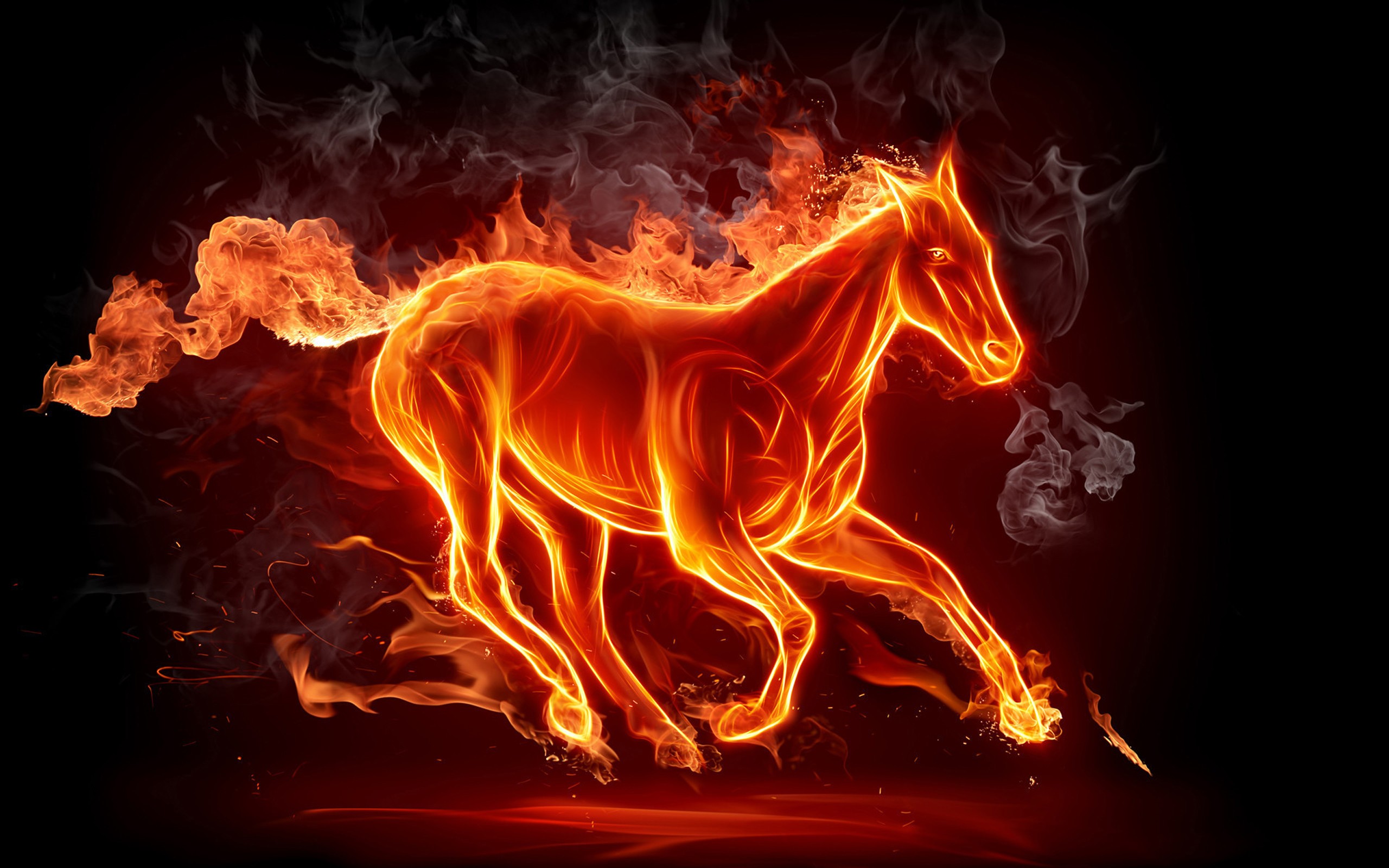 Digital Art Gallery Horse Animals 2560x1600