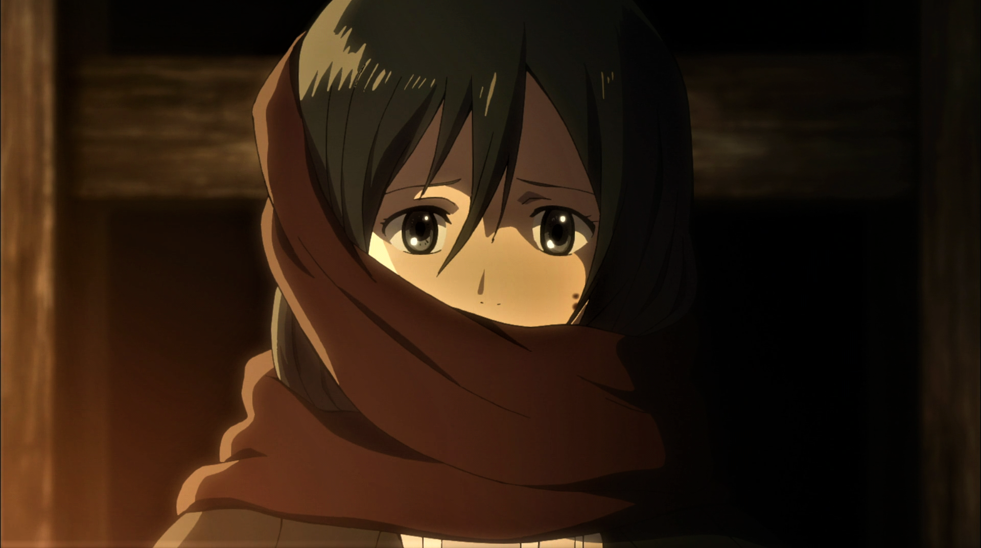 Shingeki No Kyojin Mikasa Ackerman Scarf Bangs Black Eyes Anime Anime Screenshot Anime Girls 1920x1073
