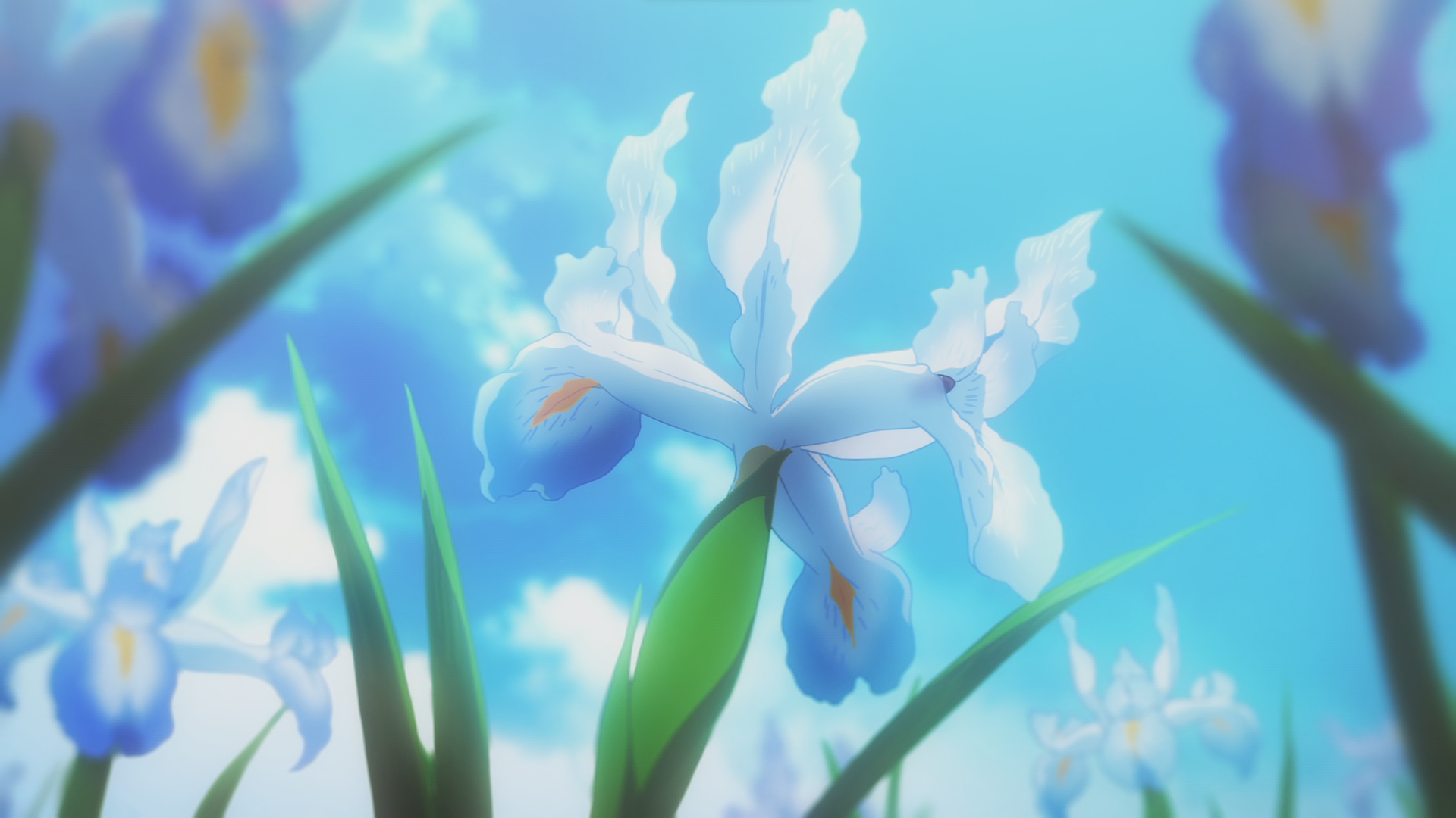 Violet Evergarden Anime Flowers Iris Anime Anime Screenshot 1920x1080