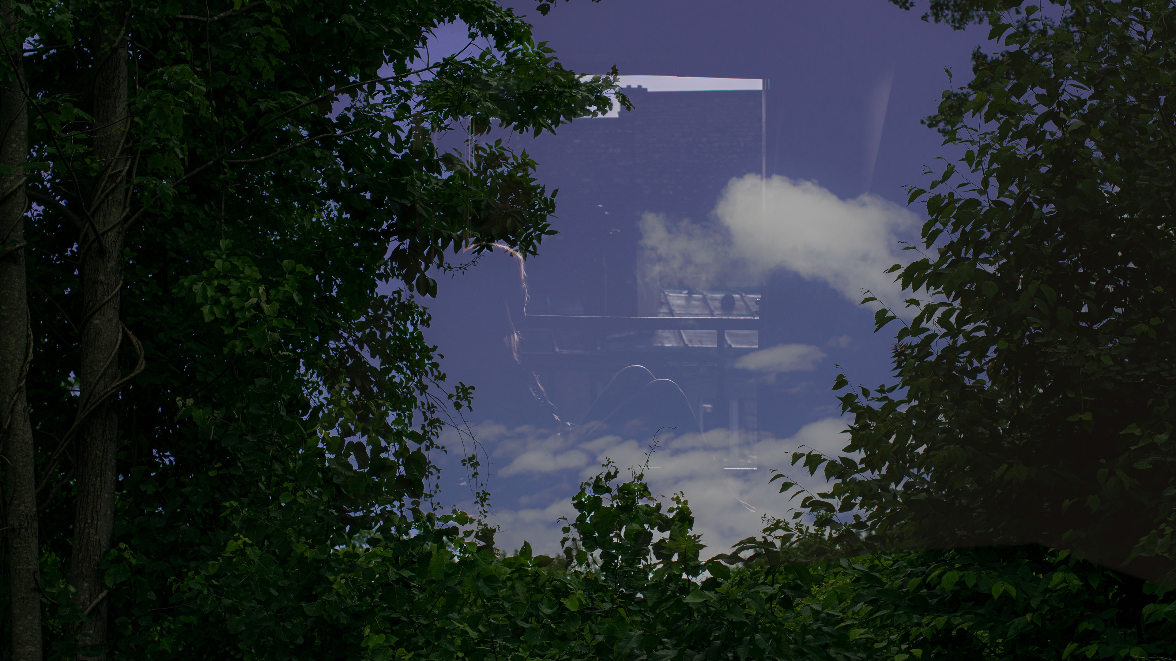 Trees Sky Blue Green Sitting Looking Into The Distance Leaves Clouds Looking Out Window Superimposit 3840x2160