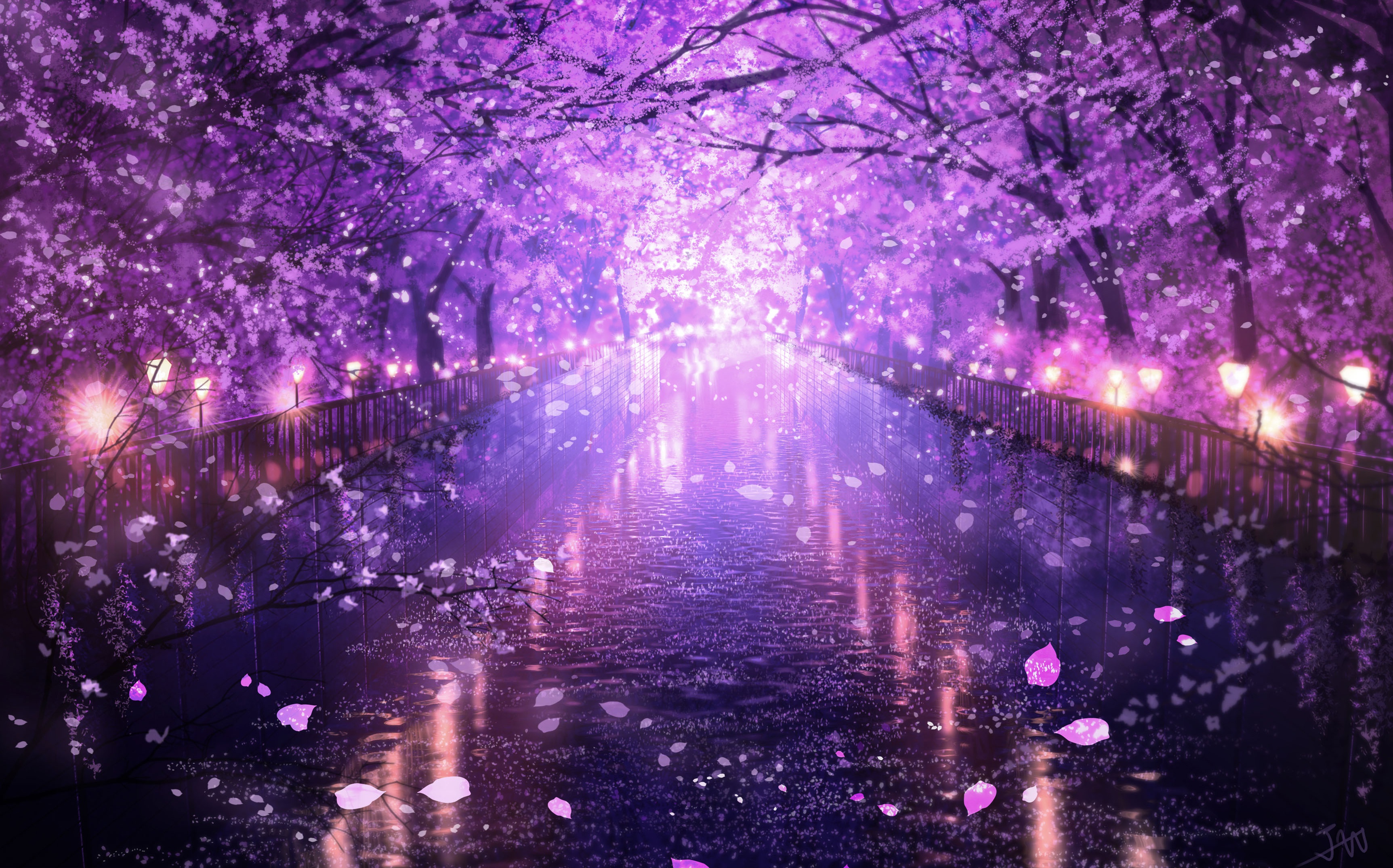 Water Sakura Blossom Canal 3449x2150