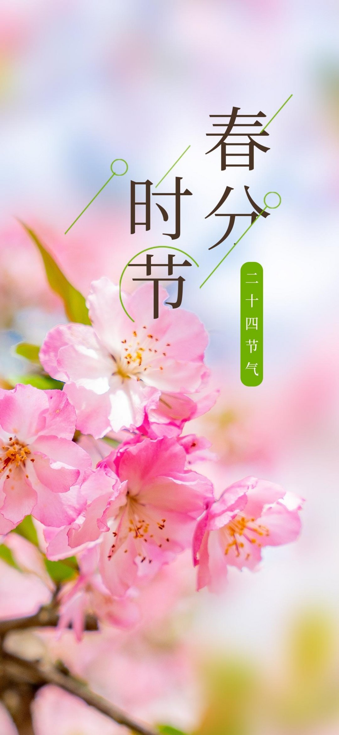 Nature Seasons Flowers Vertical Chinese 1080x2338