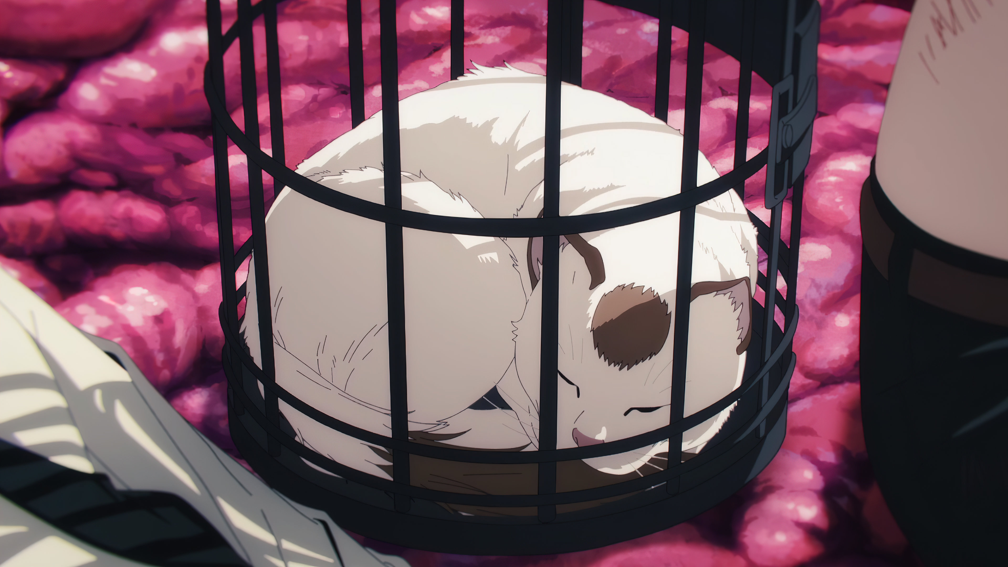 Chainsaw Man Anime 4K Anime Screenshot Cats Cages 3840x2160