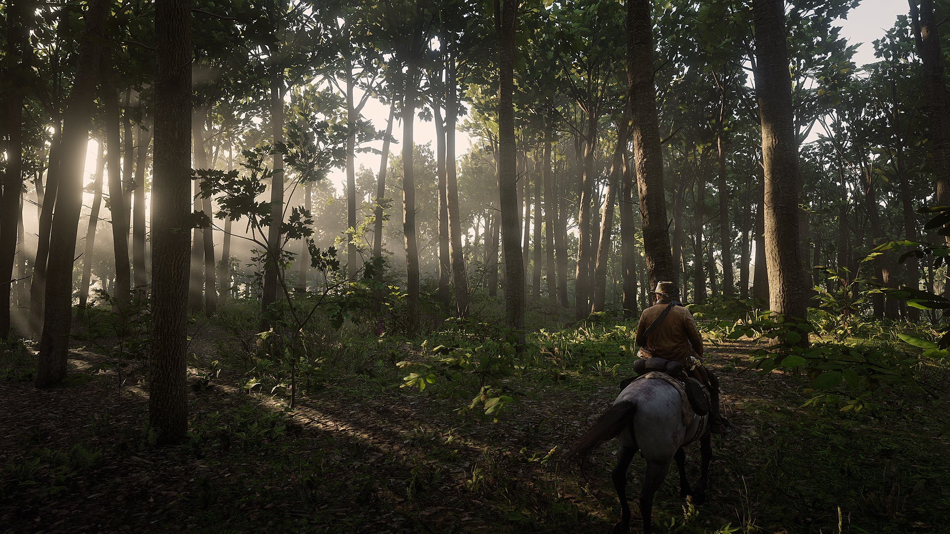 Red Dead 3 Forest Snow 1920x1080