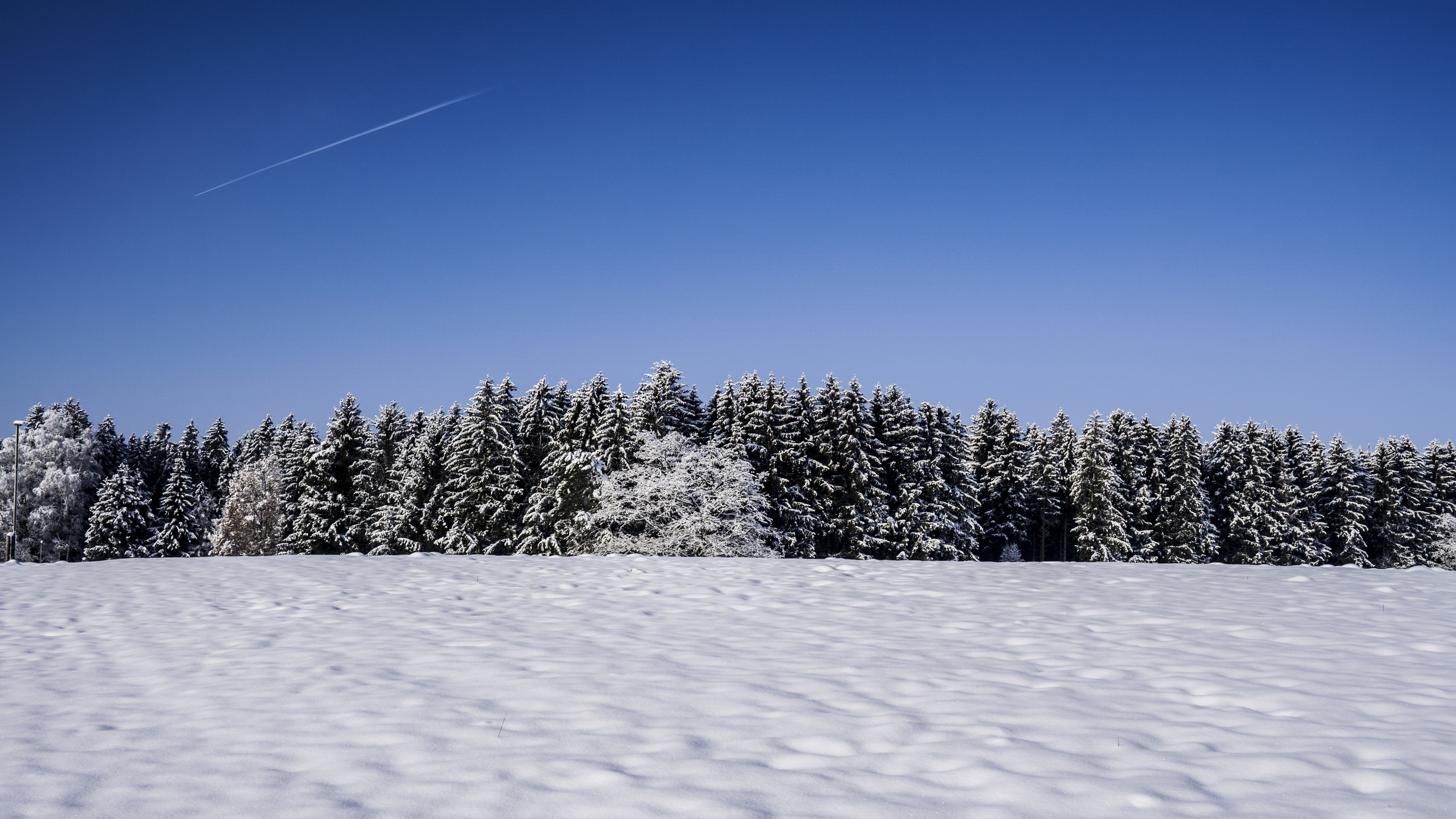 Nature Landscape Trees Snow Winter Outdoors Sky Chemtrails Wide Angle 6000x3376