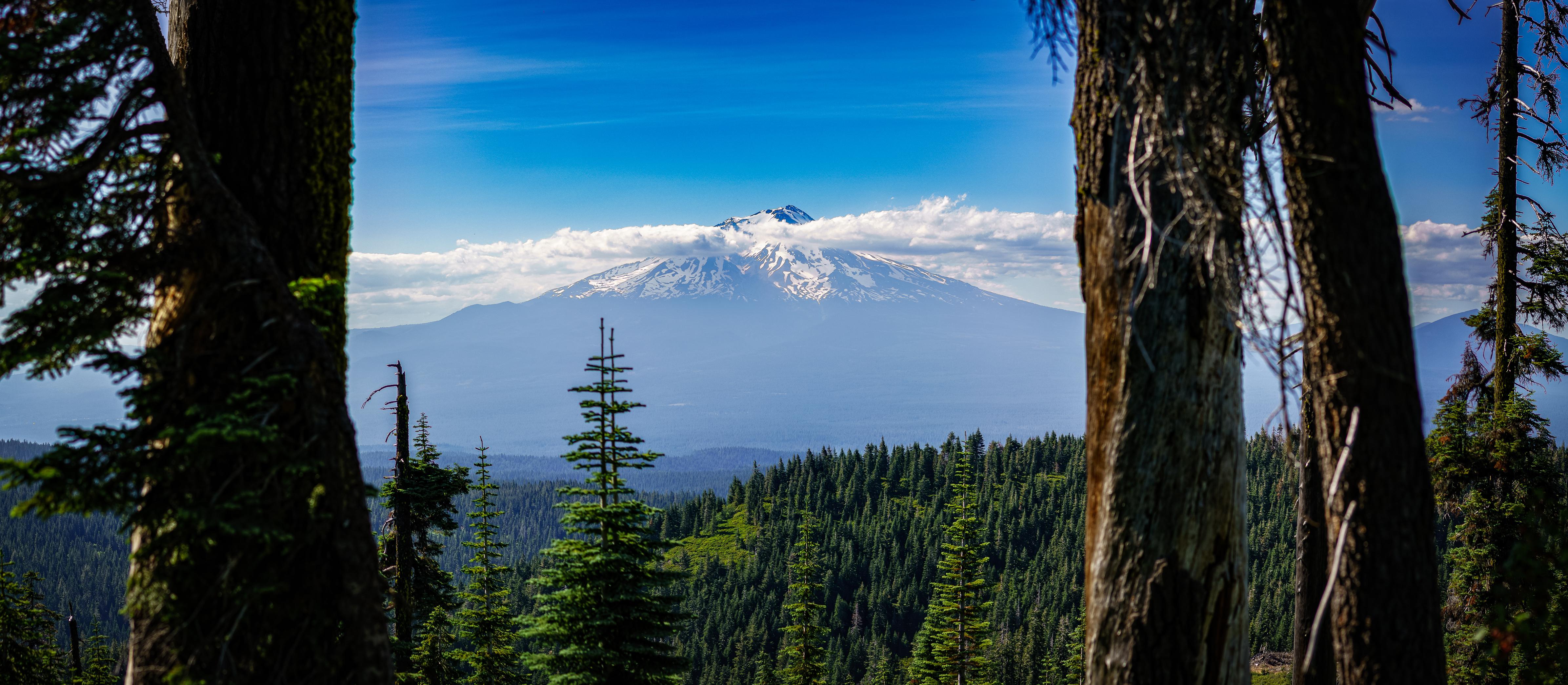 Forest Nature Landscape California USA Mount Shasta Trees Clouds Mountains 4782x2090