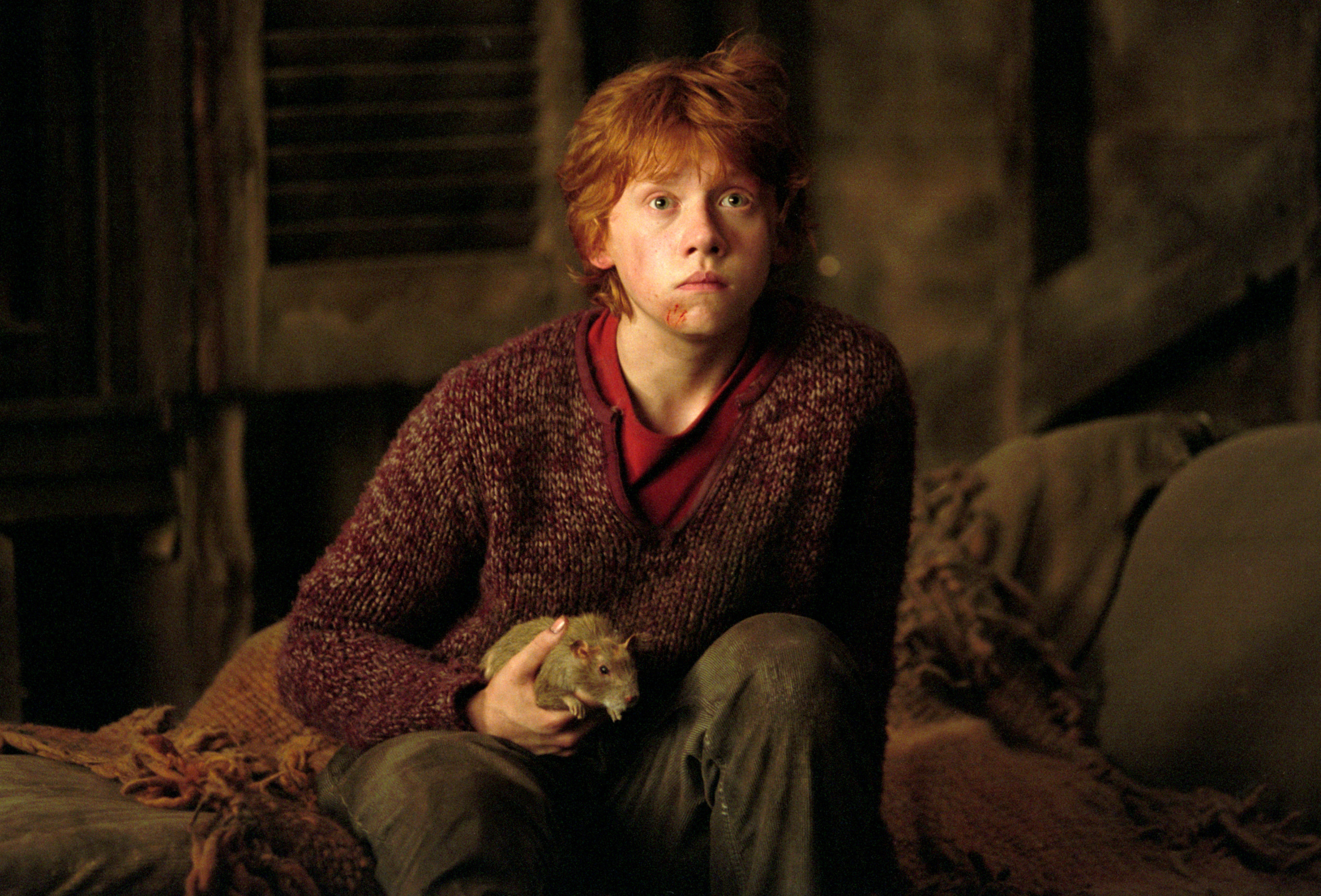 Ron Weasley Rupert Grint Peter Pettigrew 2700x1833